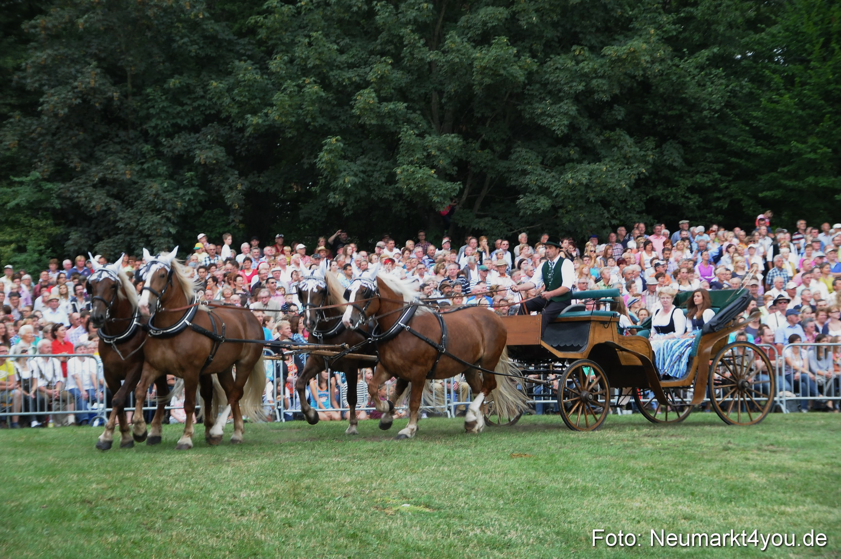 Pferde und Fohlenschau 190813 0038