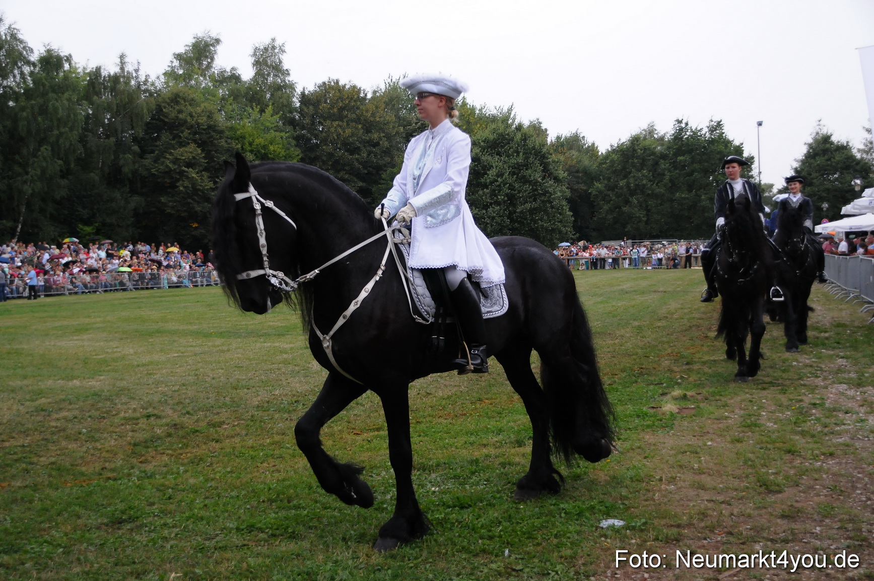 Pferde und Fohlenschau 190813 0040