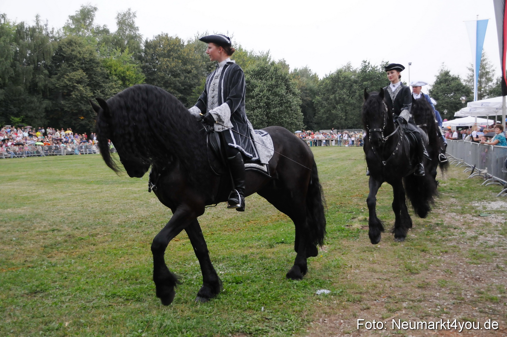 Pferde und Fohlenschau 190813 0041
