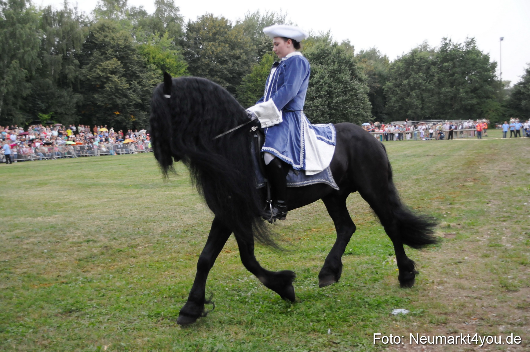 Pferde und Fohlenschau 190813 0042
