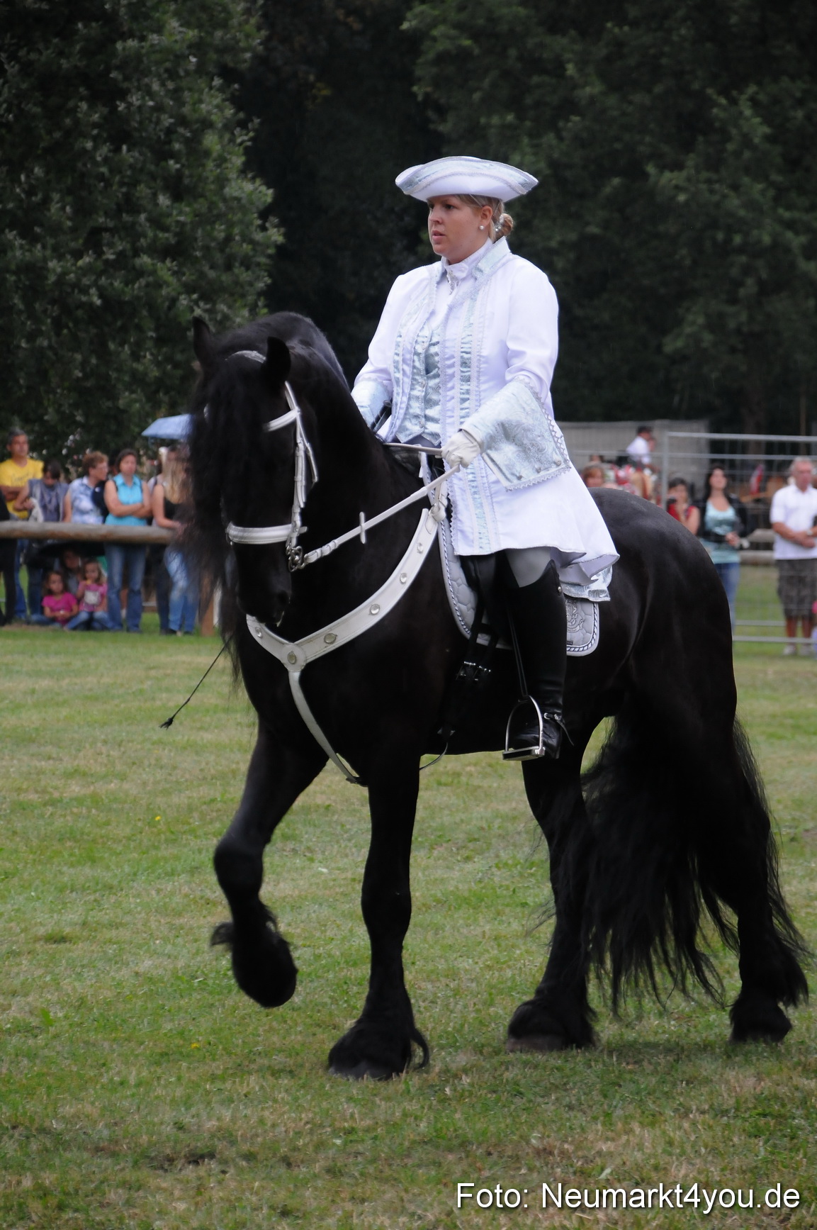 Pferde und Fohlenschau 190813 0043