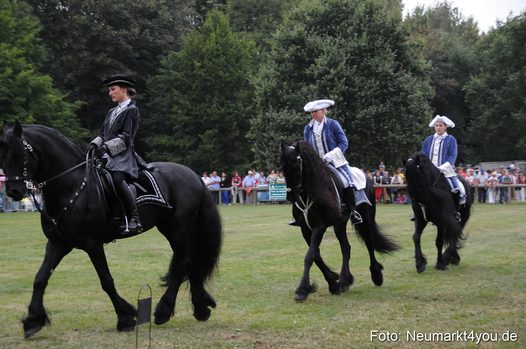 Pferde und Fohlenschau 190813 0044