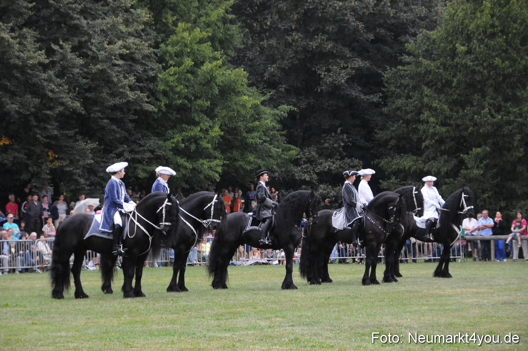 Pferde und Fohlenschau 190813 0045