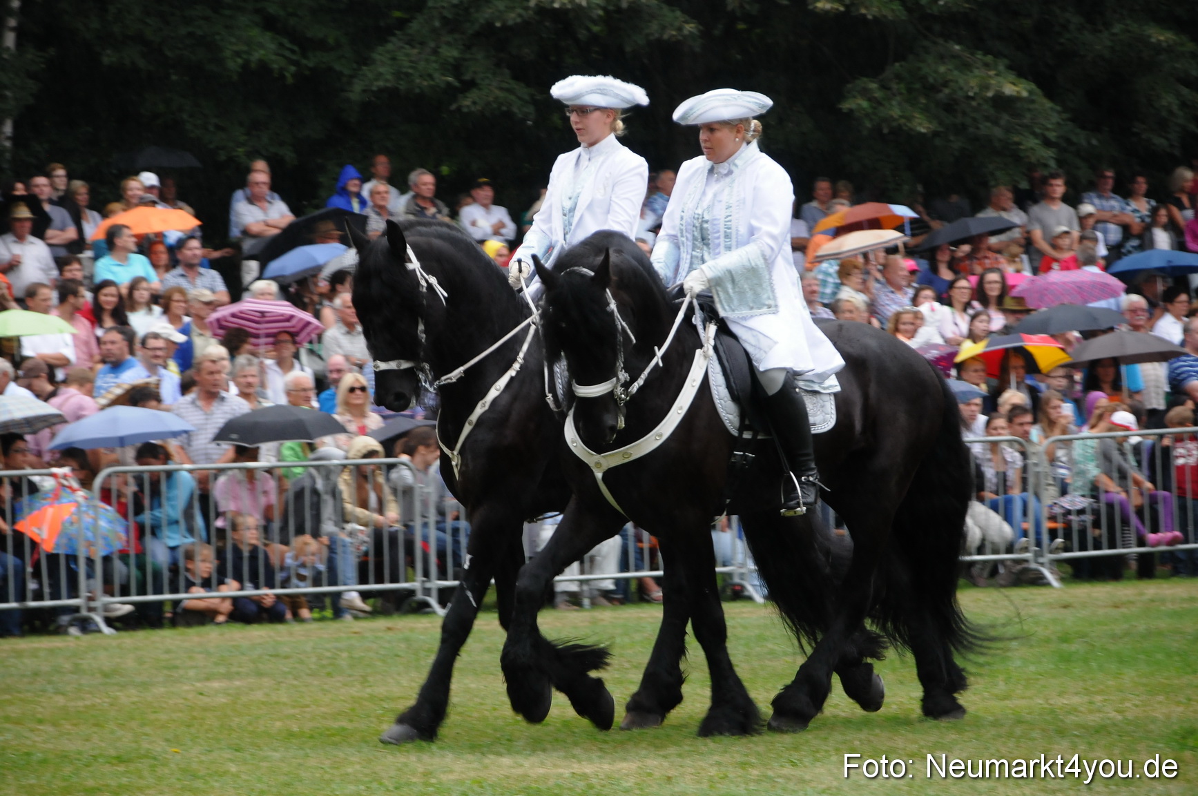 Pferde und Fohlenschau 190813 0046