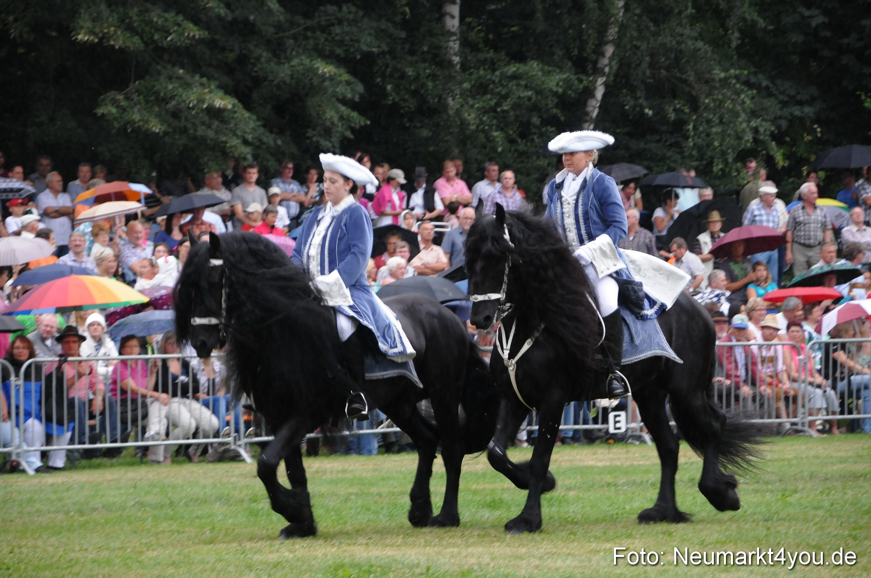 Pferde und Fohlenschau 190813 0047