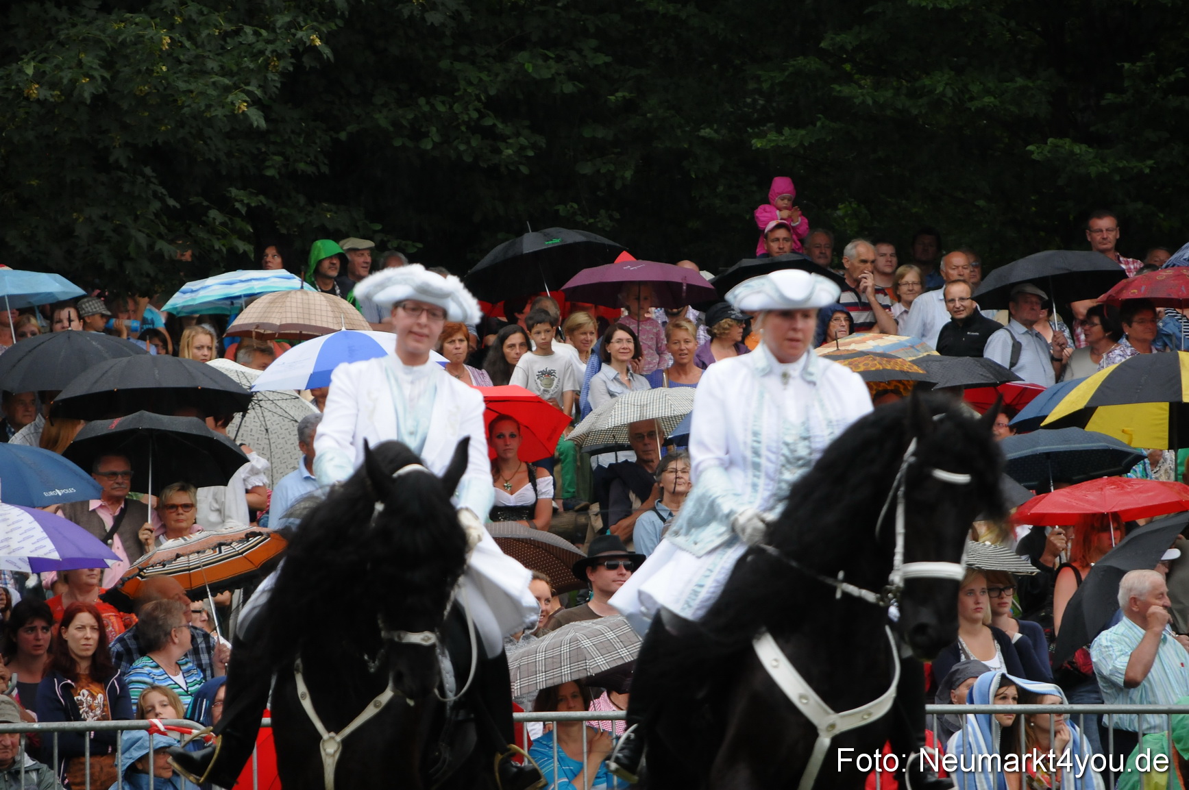 Pferde und Fohlenschau 190813 0048