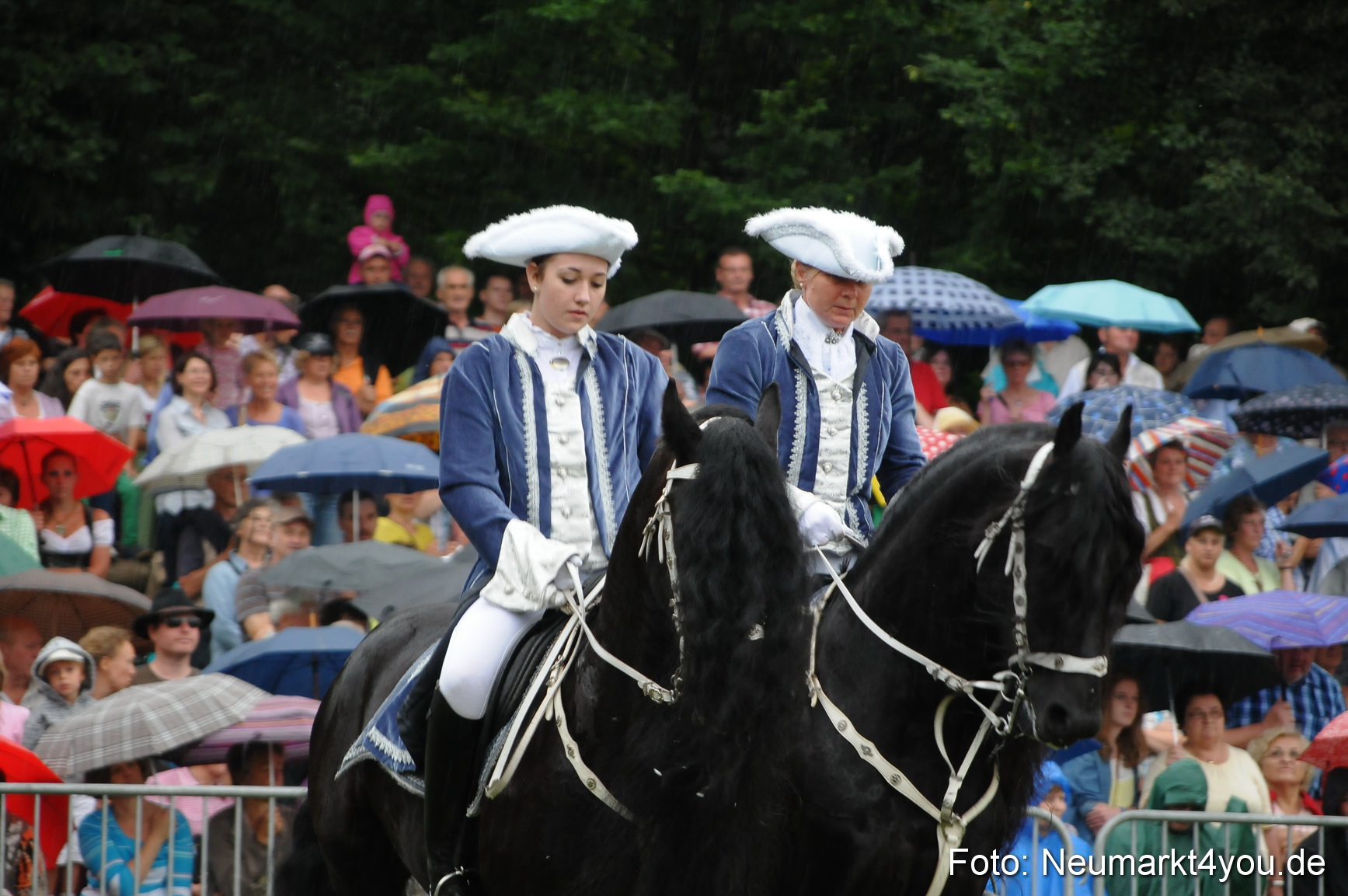 Pferde und Fohlenschau 190813 0049