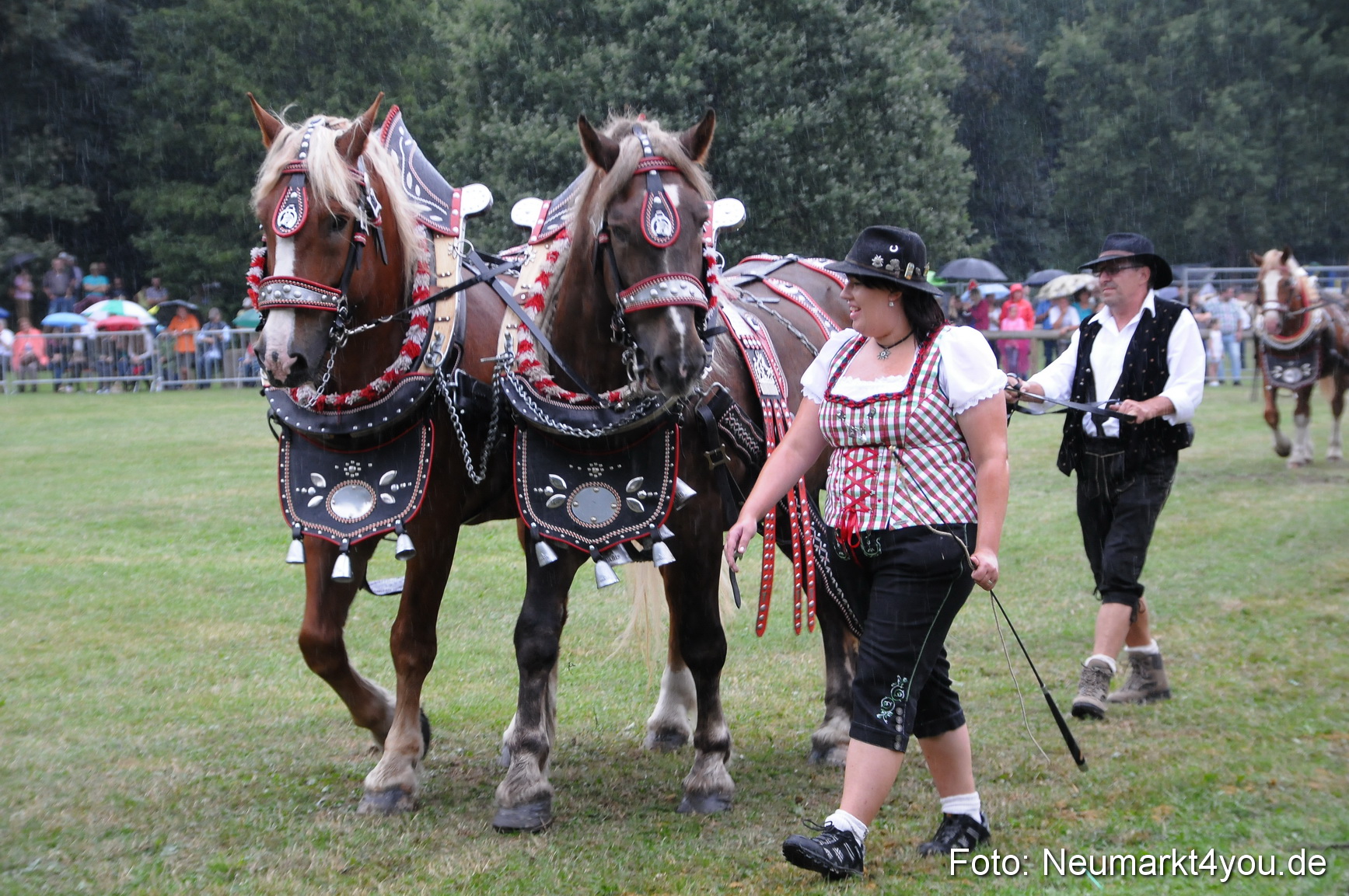 Pferde und Fohlenschau 190813 0054