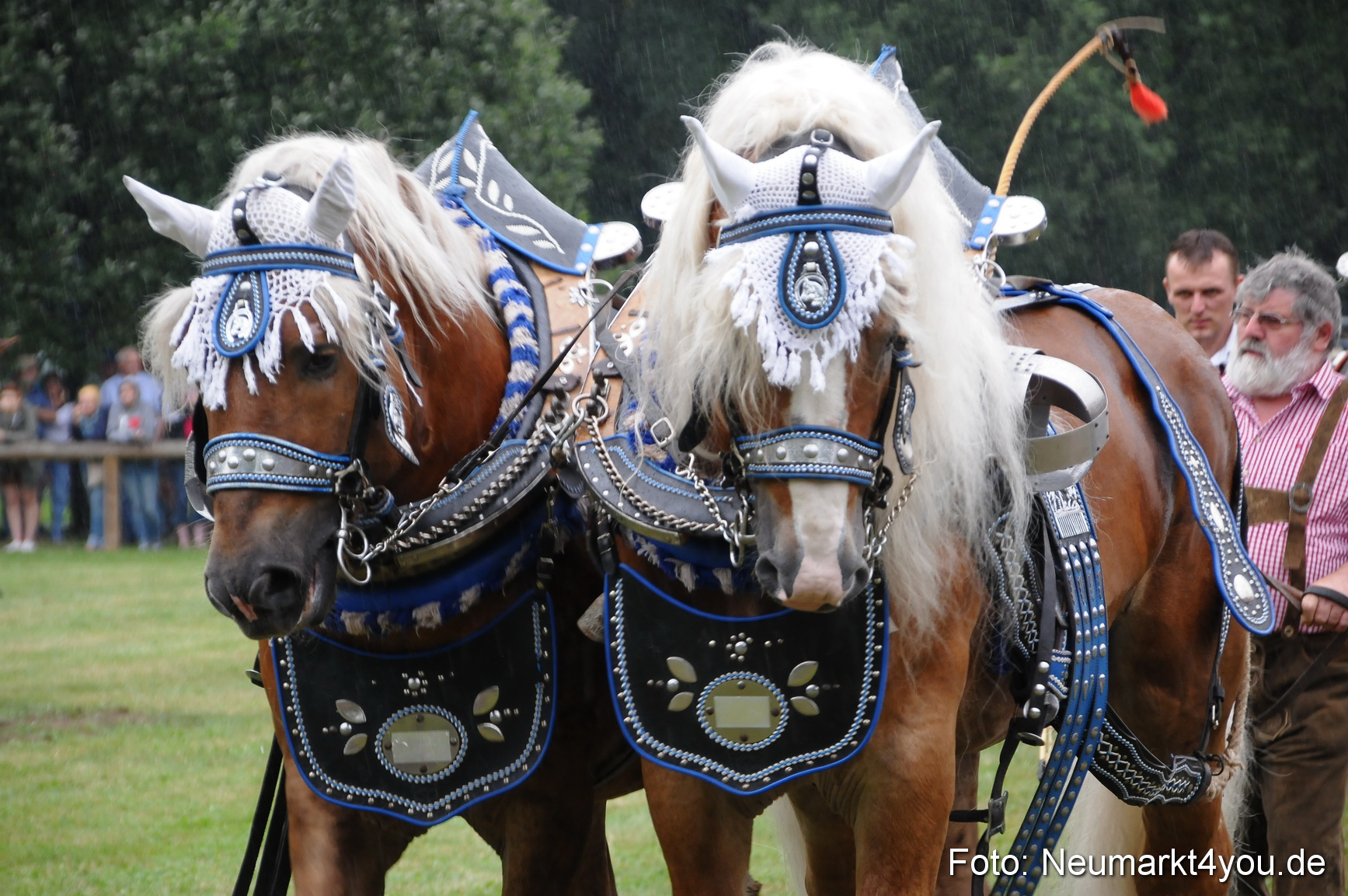 Pferde und Fohlenschau 190813 0055