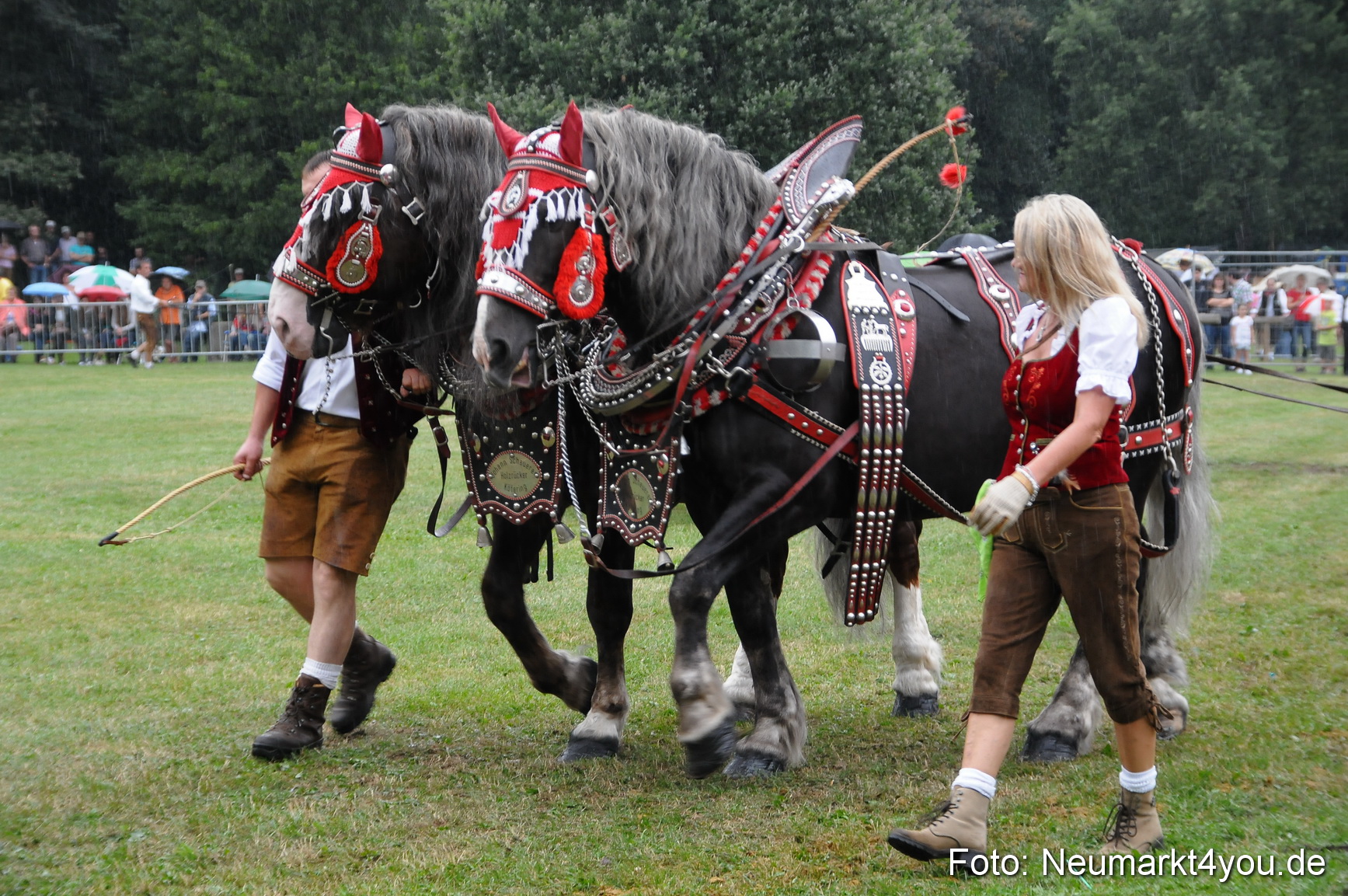Pferde und Fohlenschau 190813 0056