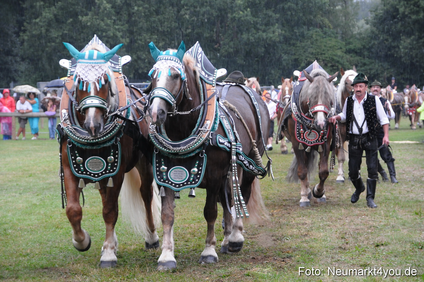 Pferde und Fohlenschau 190813 0061