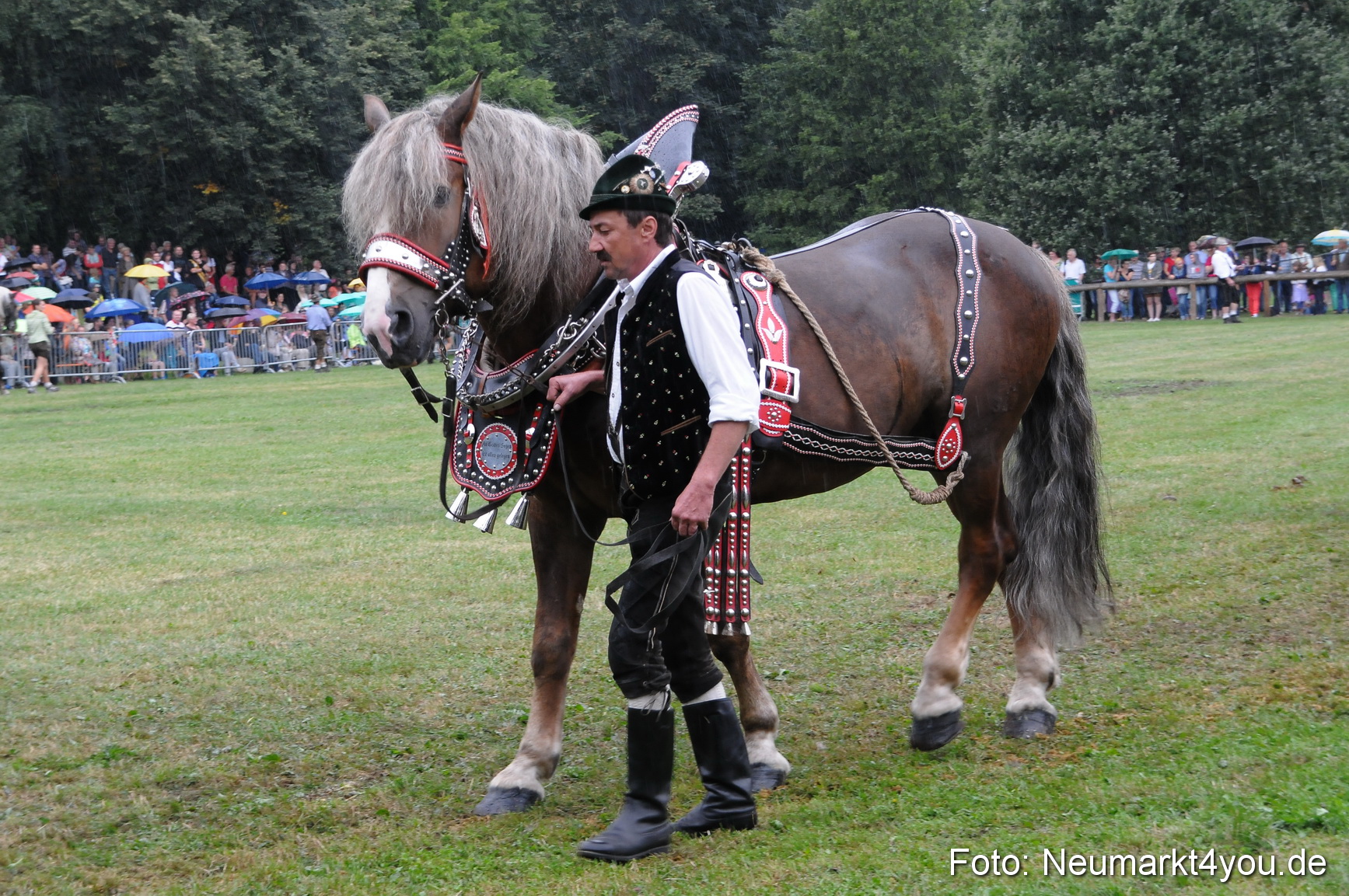 Pferde und Fohlenschau 190813 0063