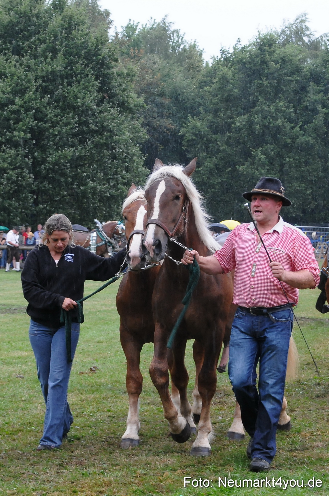Pferde und Fohlenschau 190813 0068