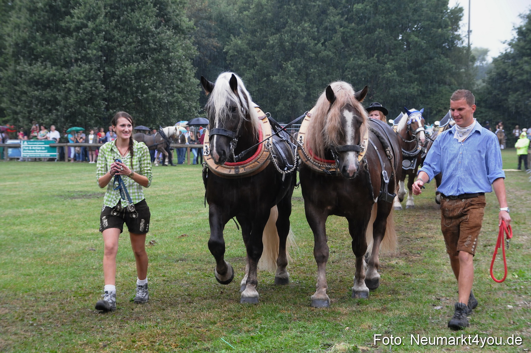 Pferde und Fohlenschau 190813 0069