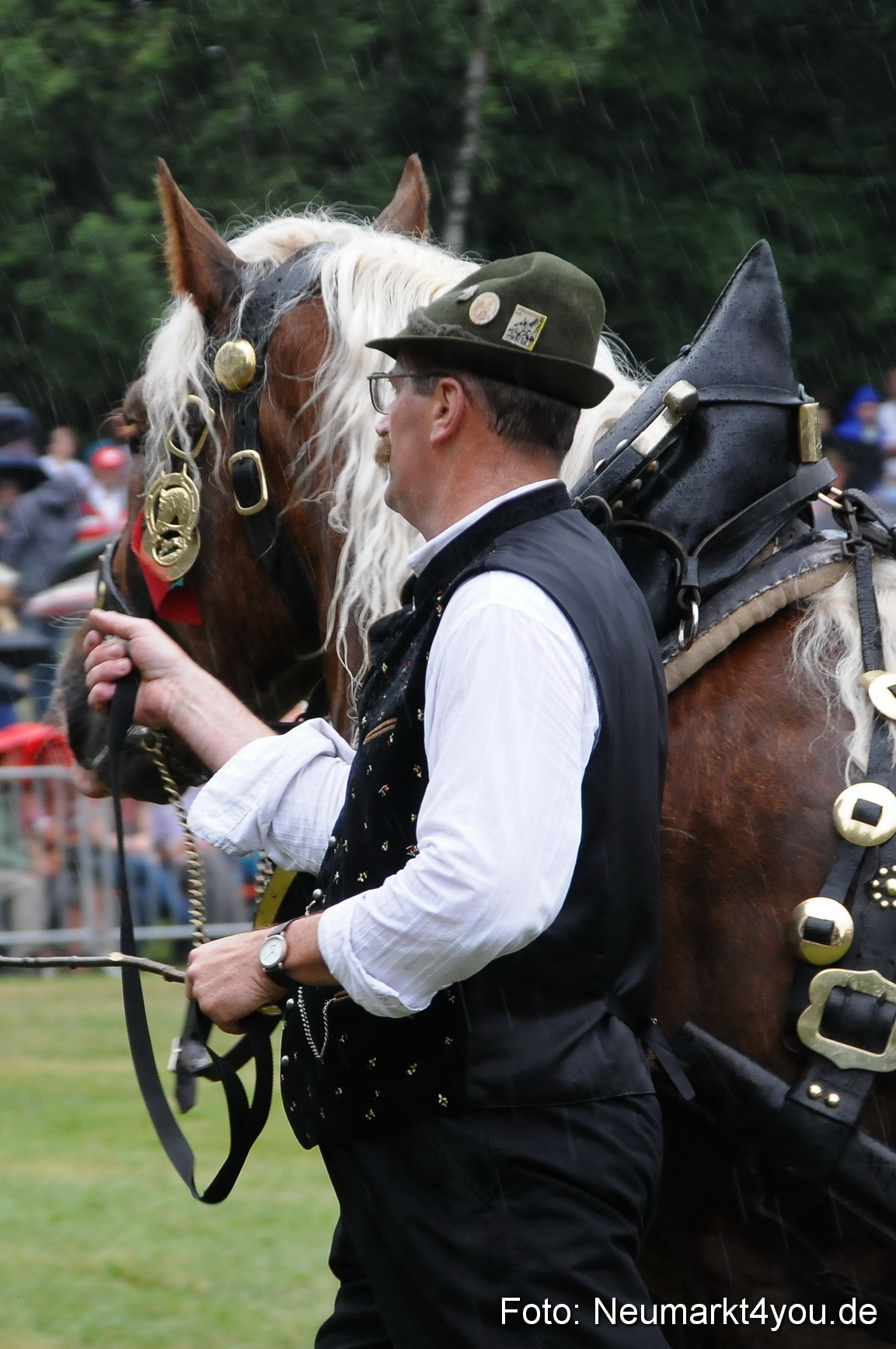 Pferde und Fohlenschau 190813 0072