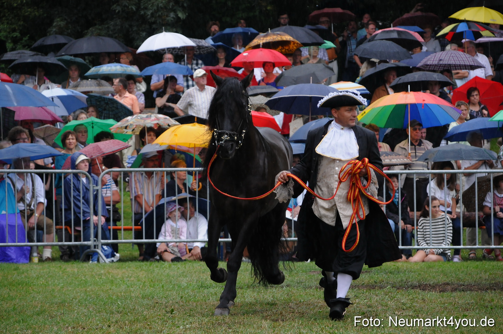 Pferde und Fohlenschau 190813 0073