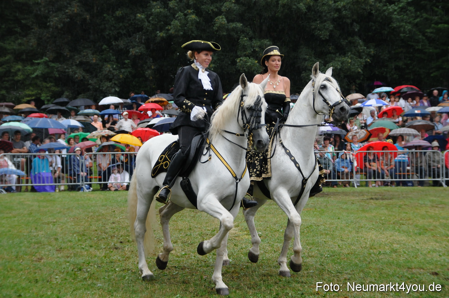 Pferde und Fohlenschau 190813 0075
