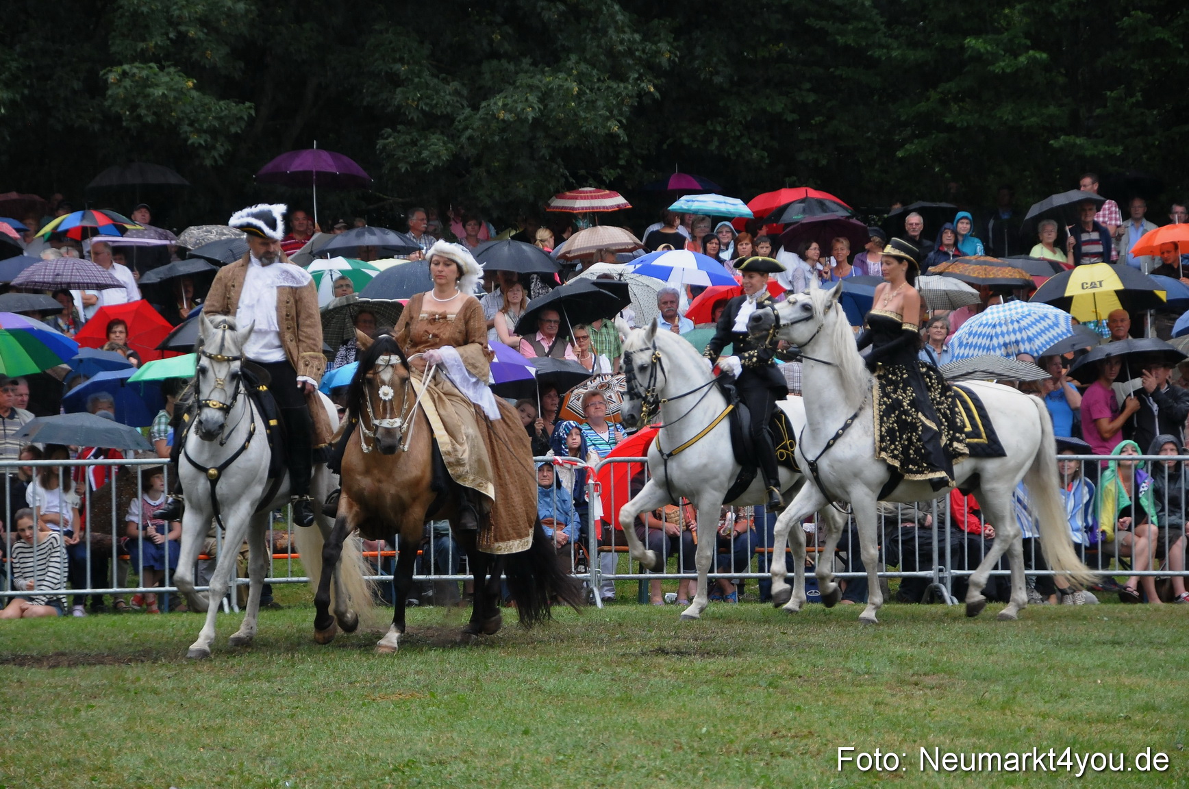 Pferde und Fohlenschau 190813 0076