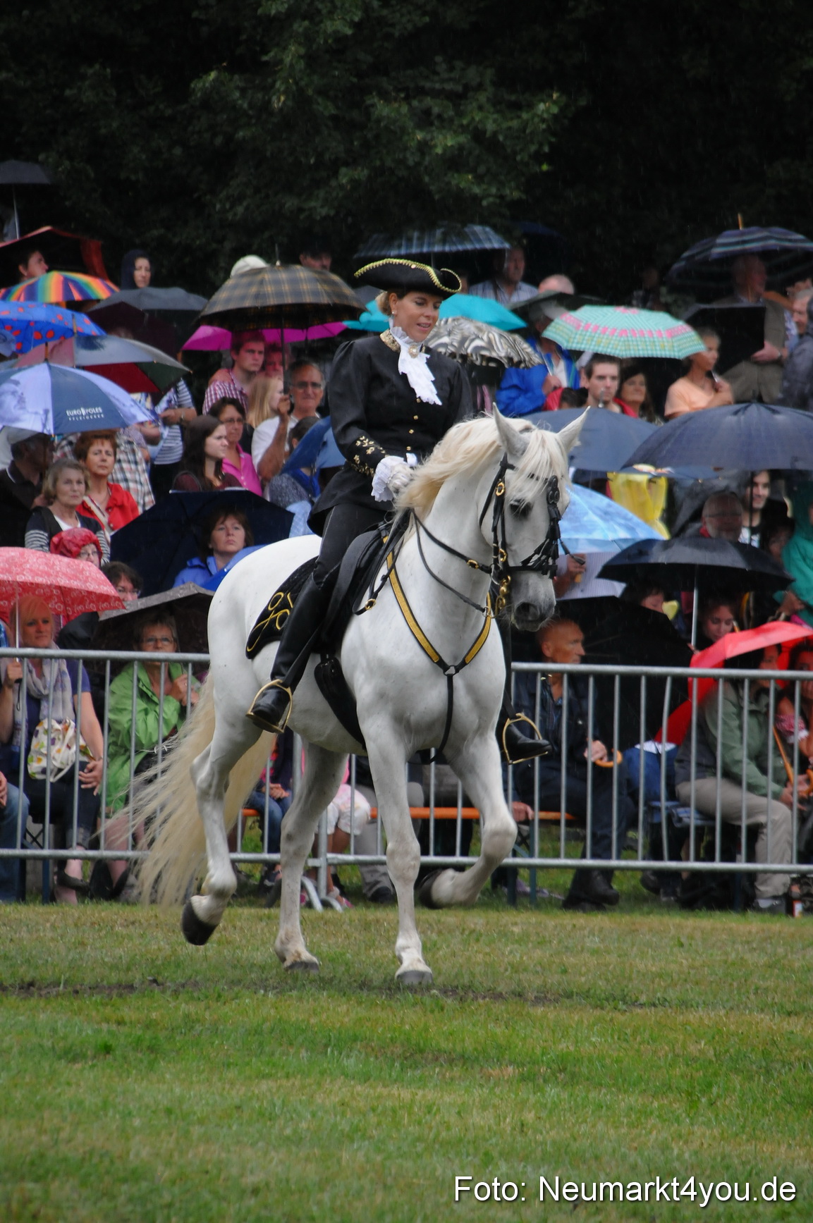 Pferde und Fohlenschau 190813 0077