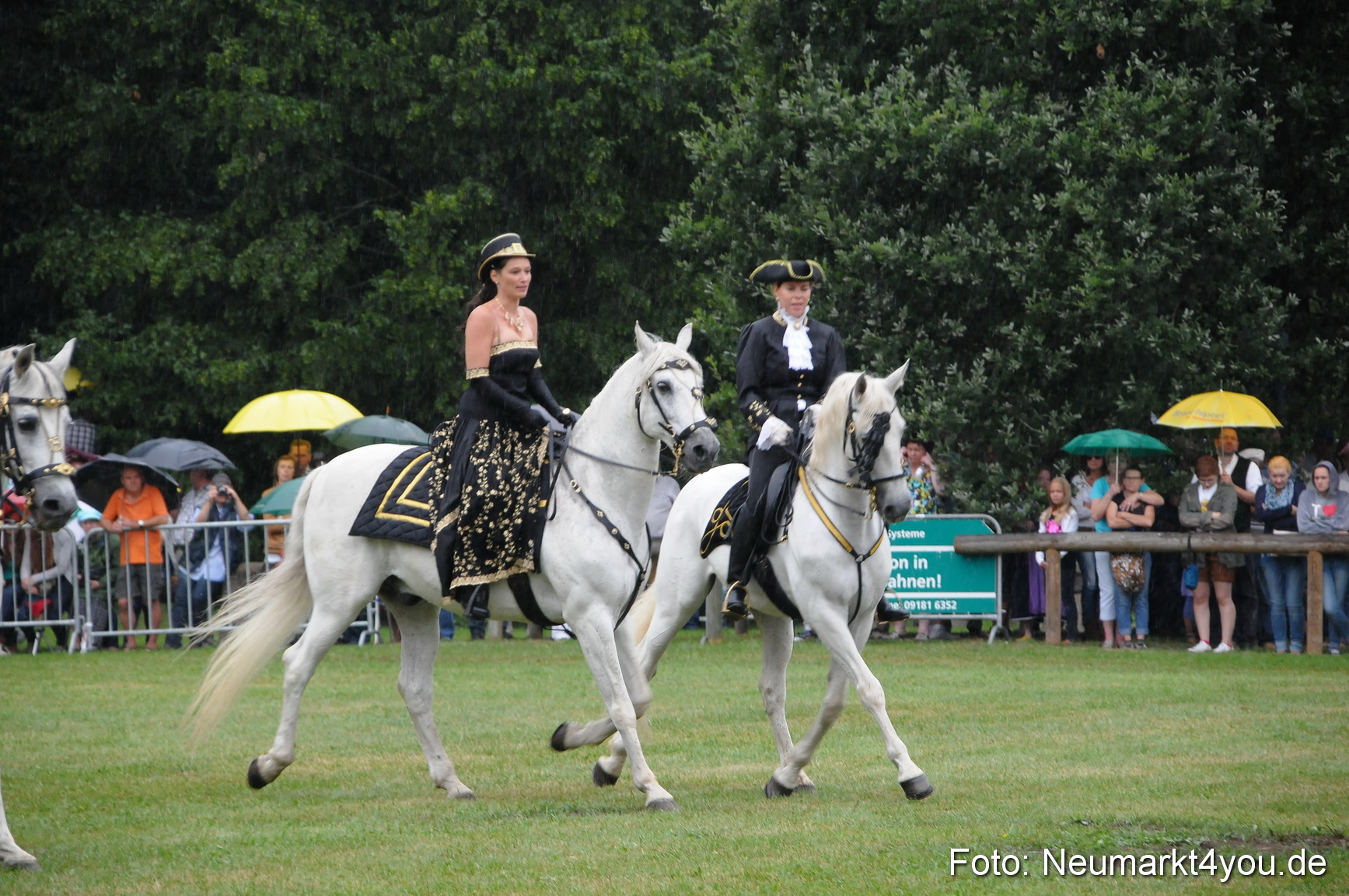 Pferde und Fohlenschau 190813 0078