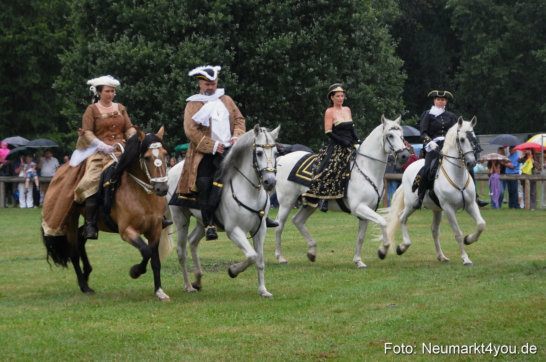 Pferde und Fohlenschau 190813 0079
