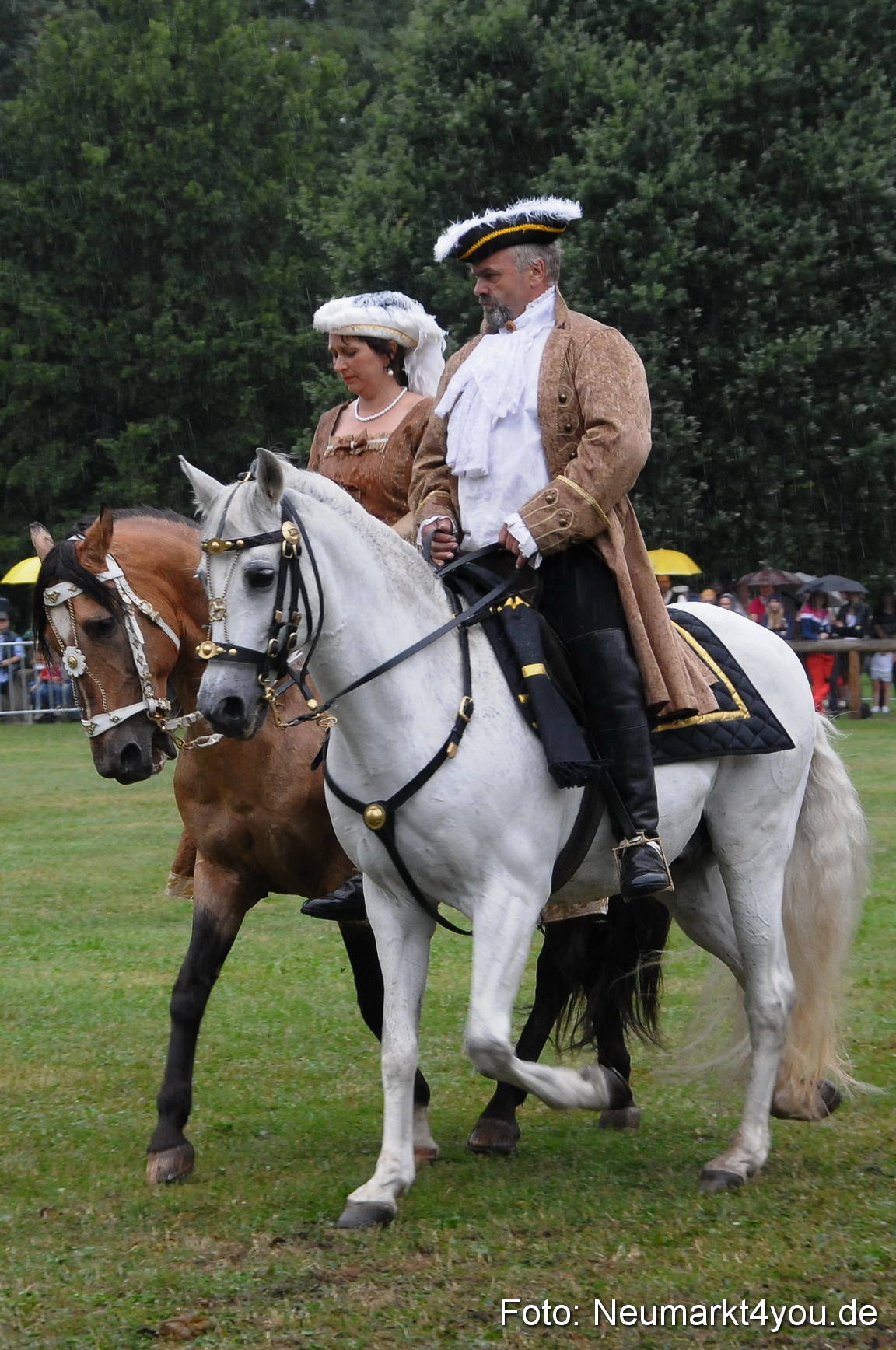 Pferde und Fohlenschau 190813 0080