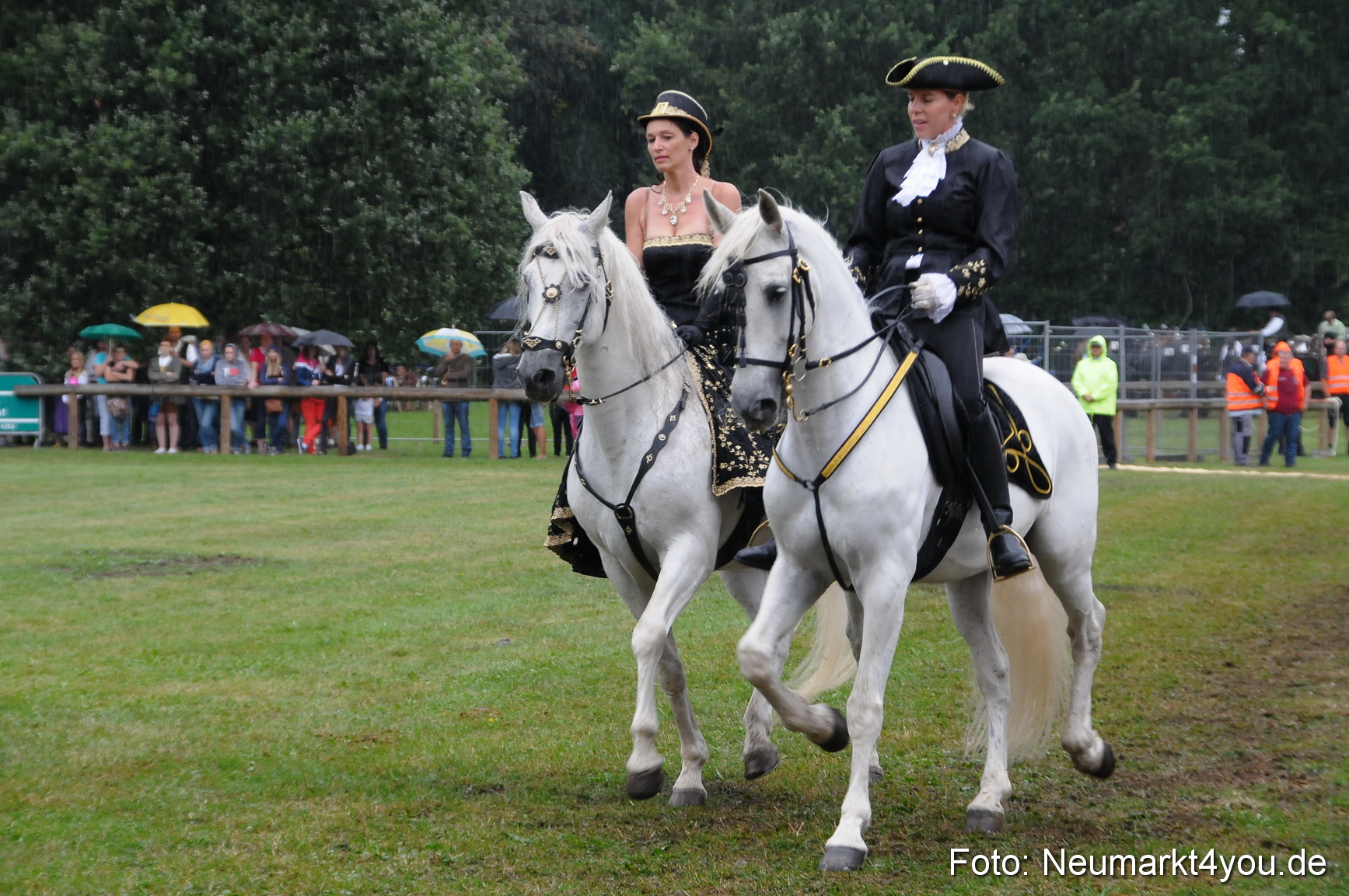 Pferde und Fohlenschau 190813 0081