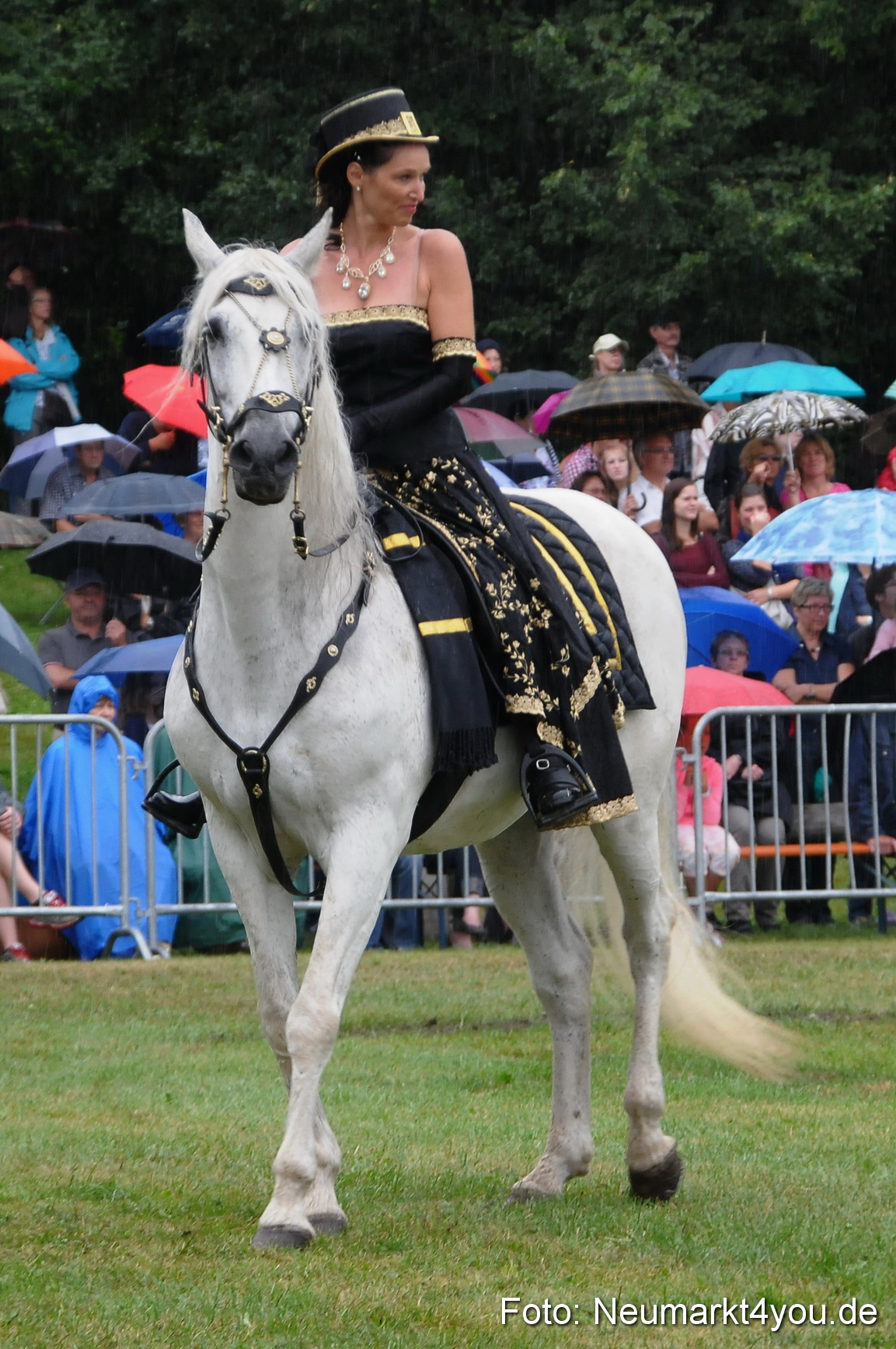 Pferde und Fohlenschau 190813 0082