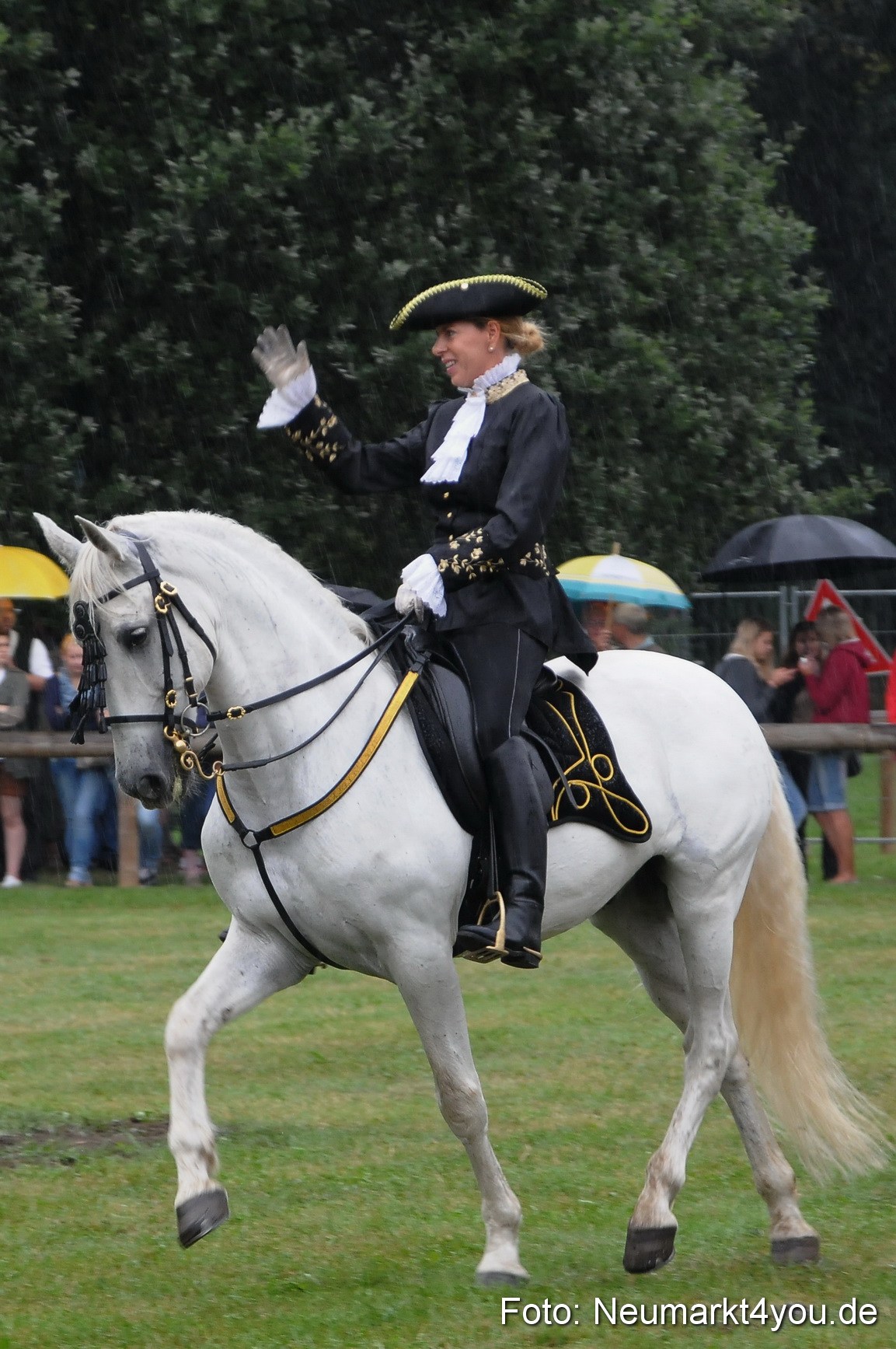 Pferde und Fohlenschau 190813 0083
