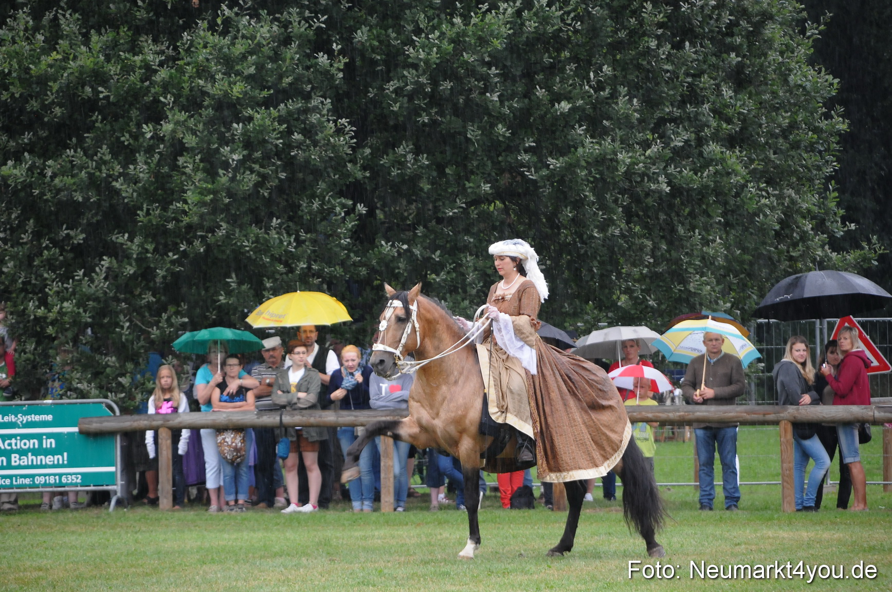 Pferde und Fohlenschau 190813 0084