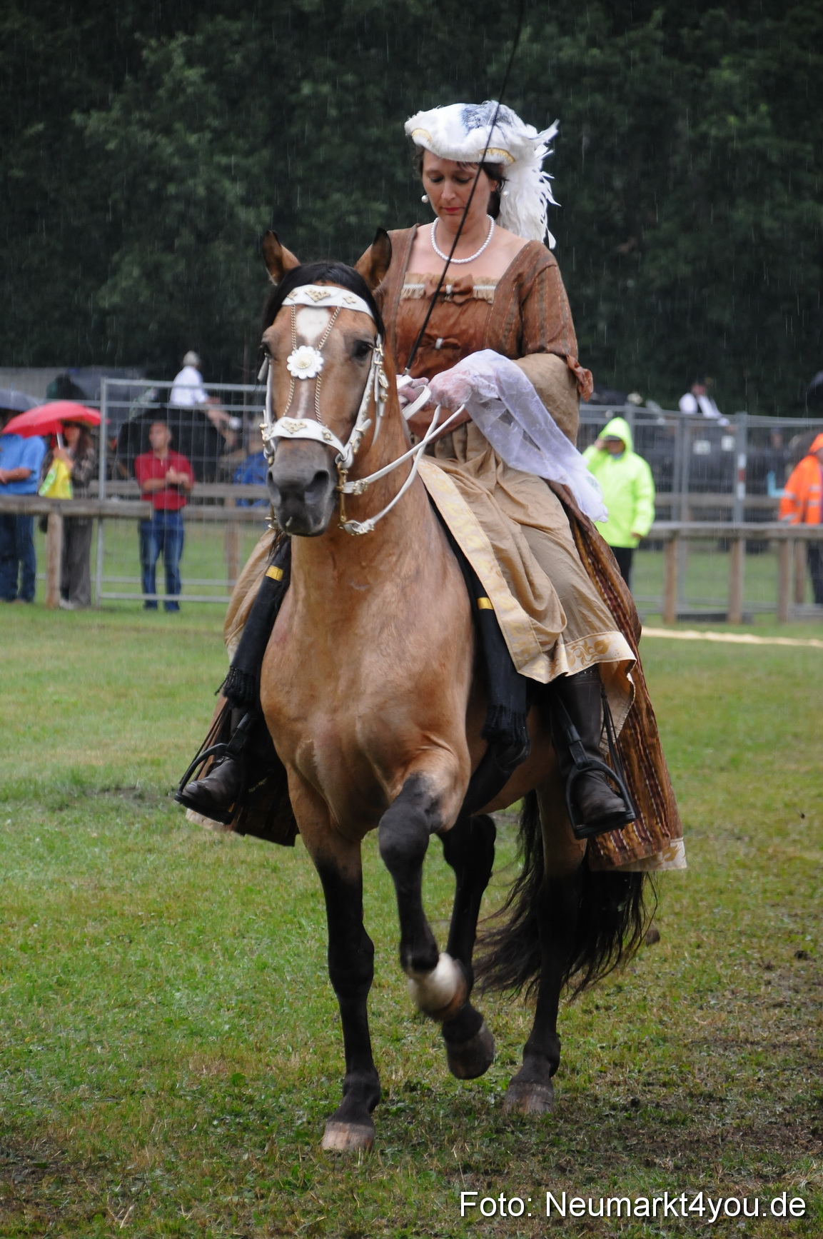 Pferde und Fohlenschau 190813 0086