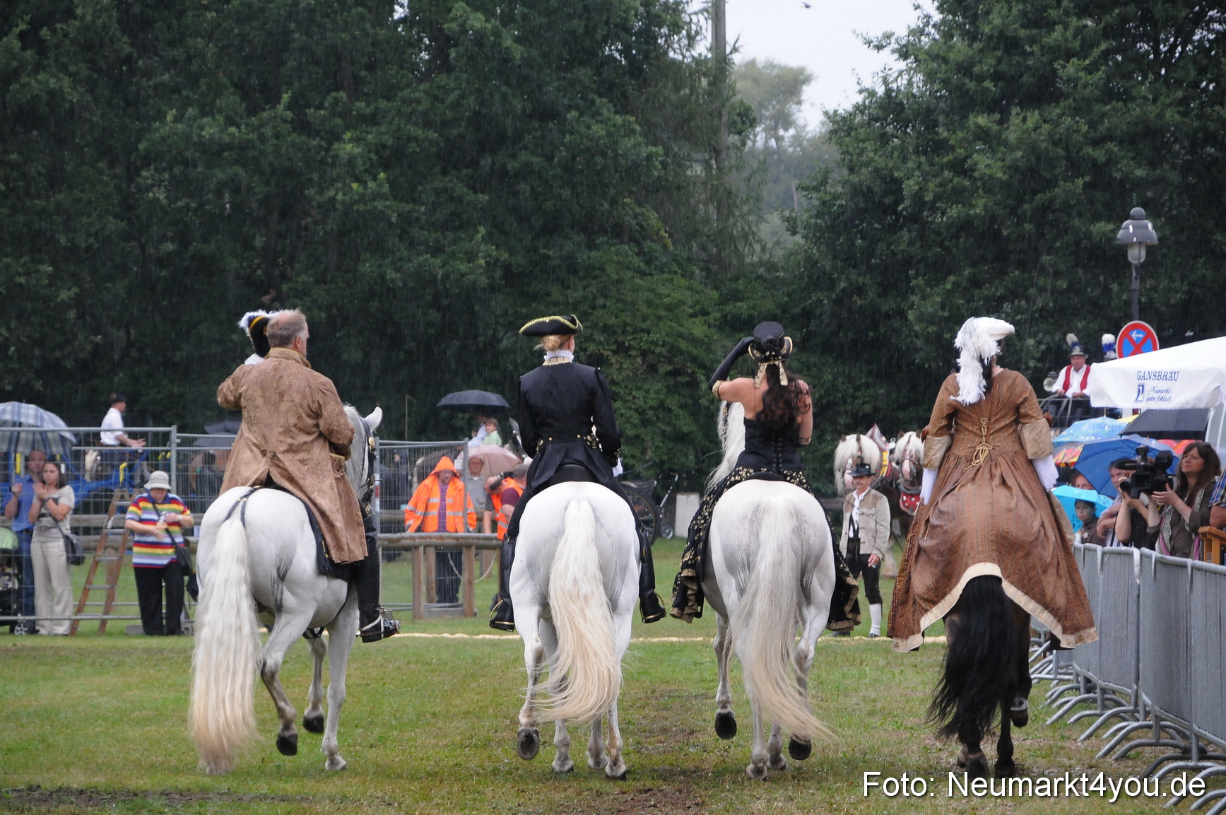 Pferde und Fohlenschau 190813 0087