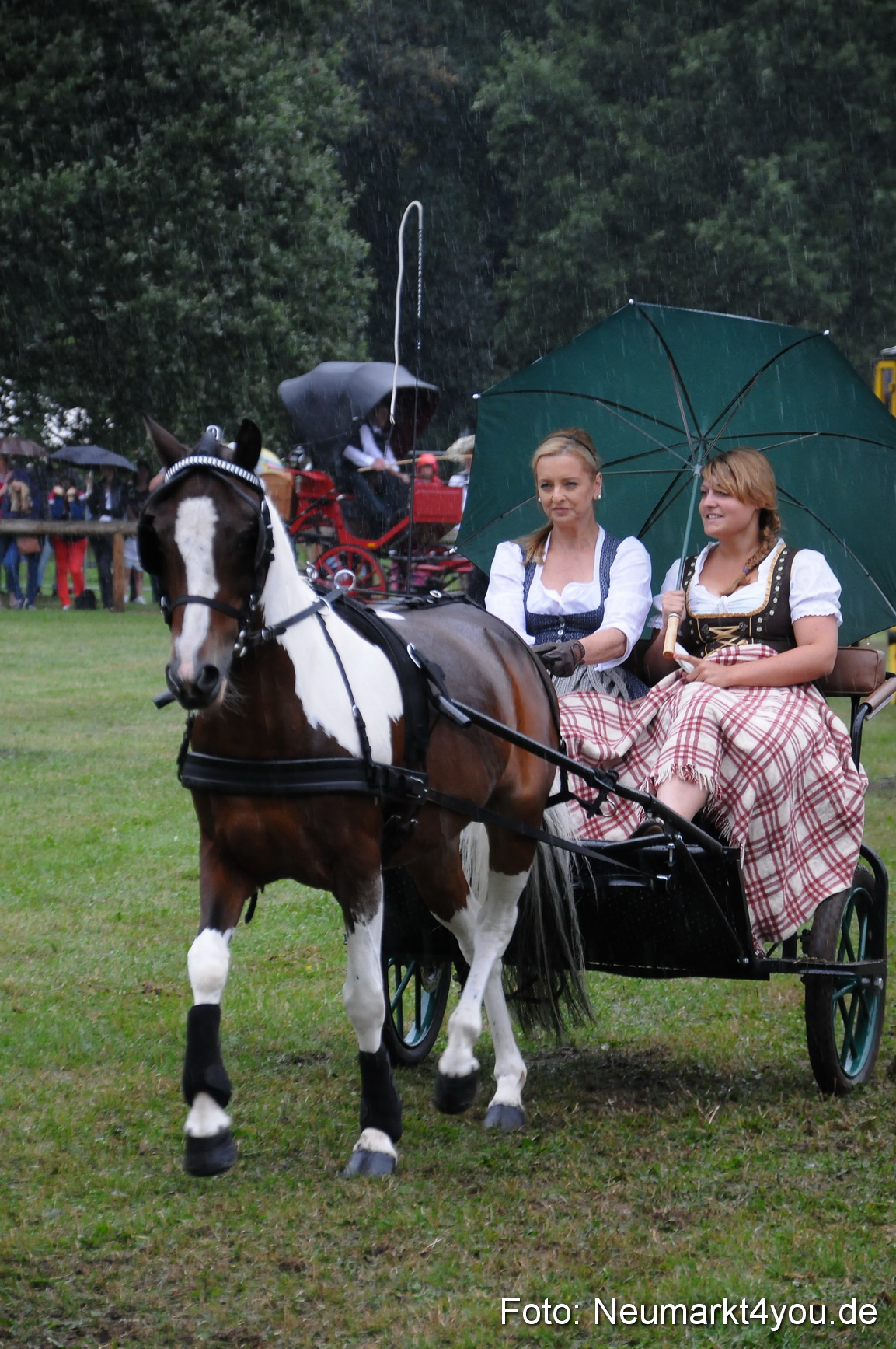 Pferde und Fohlenschau 190813 0092