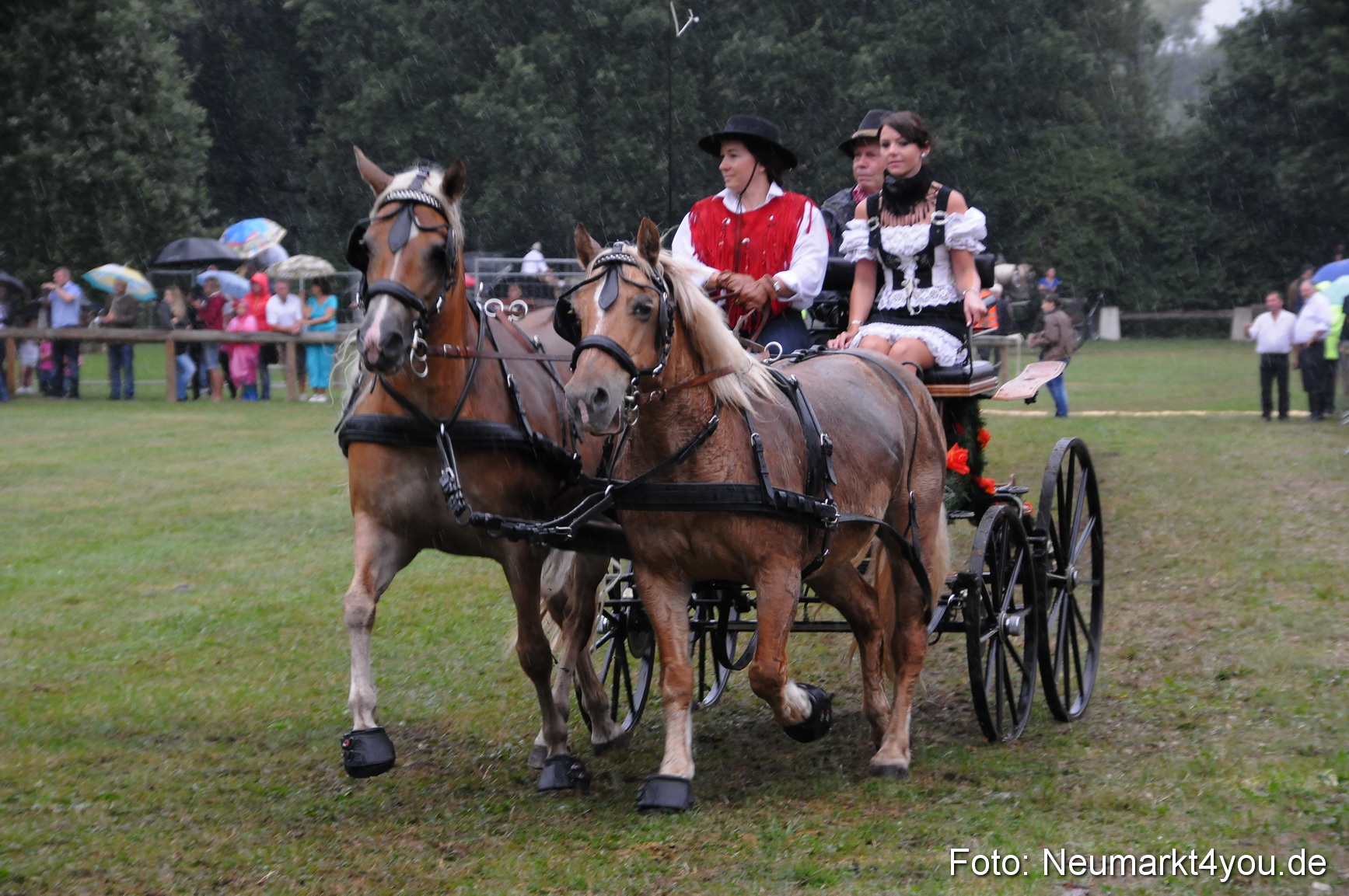 Pferde und Fohlenschau 190813 0094