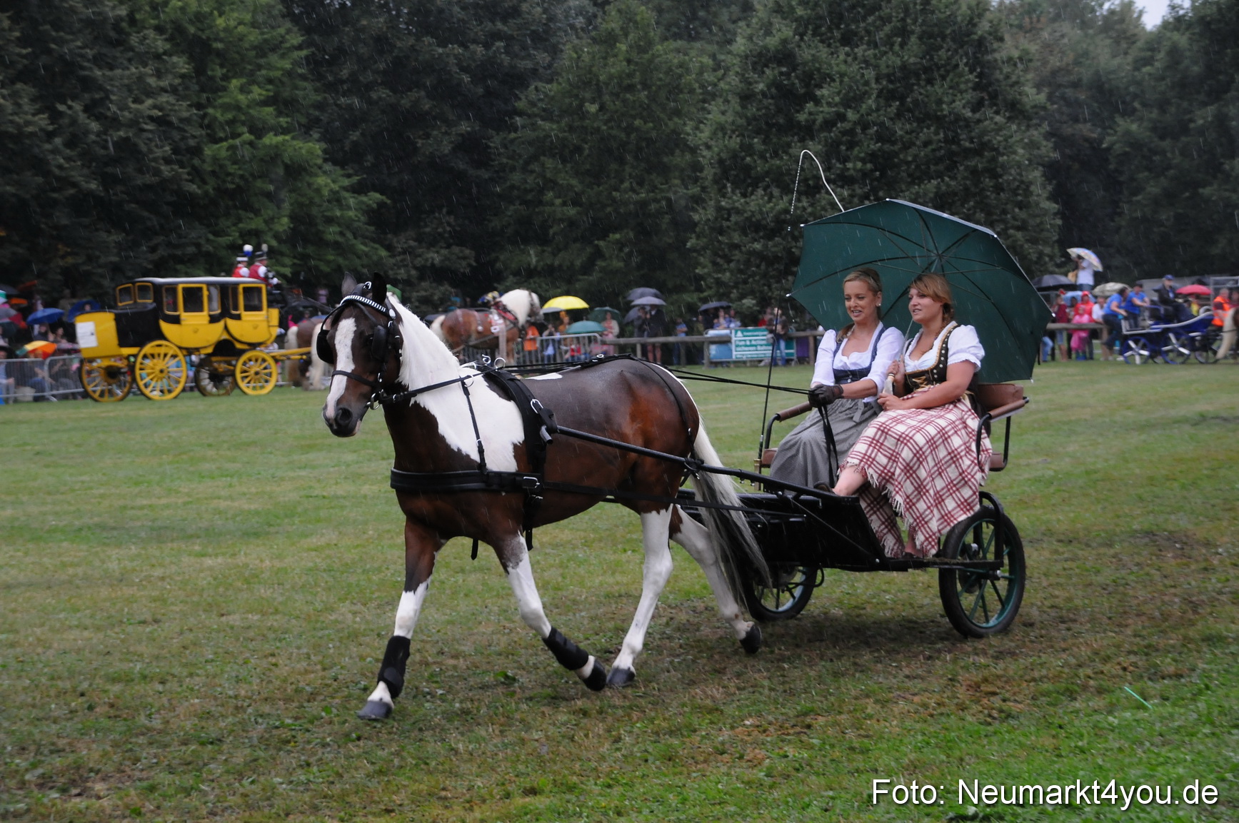 Pferde und Fohlenschau 190813 0095