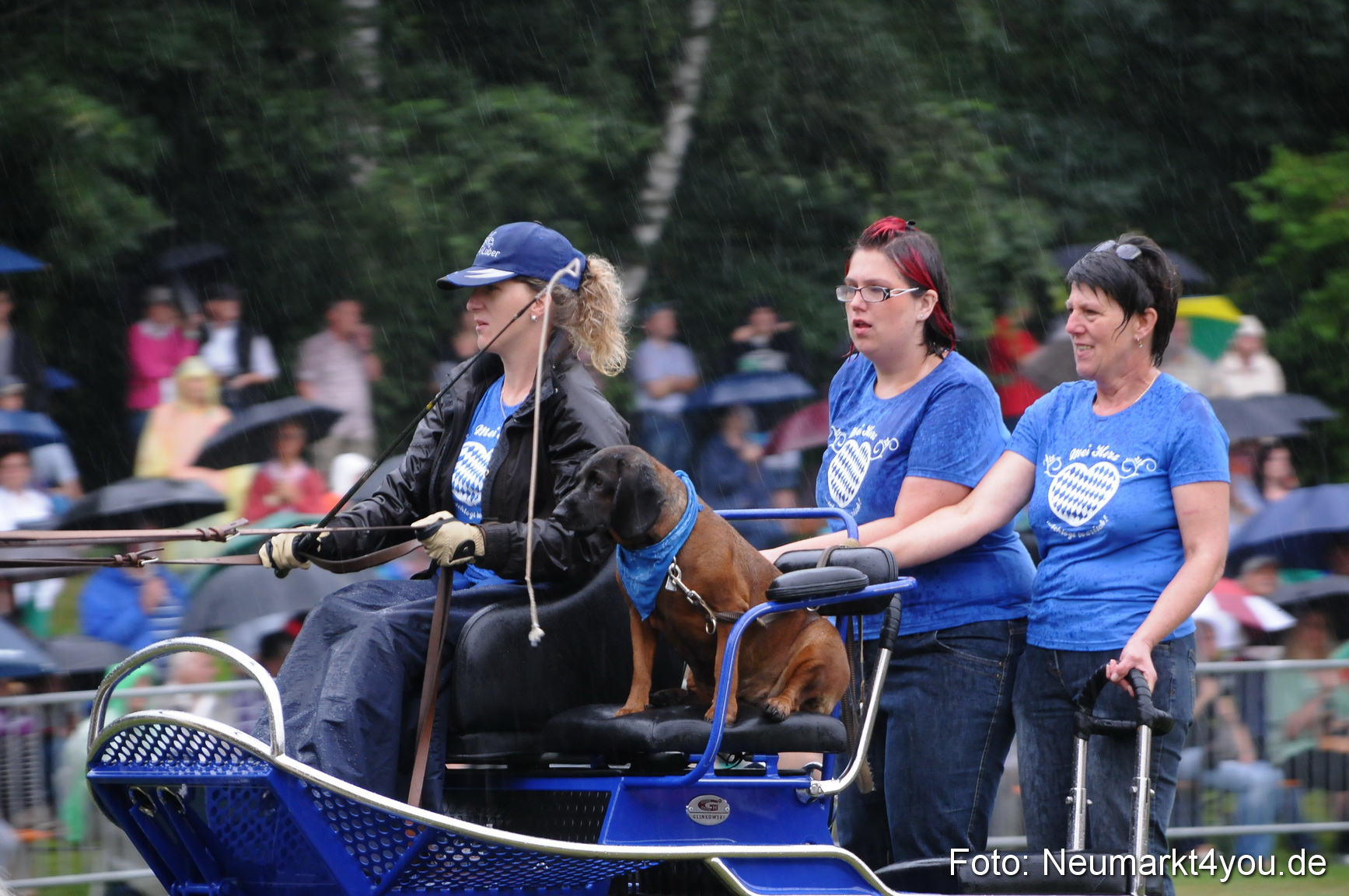 Pferde und Fohlenschau 190813 0099