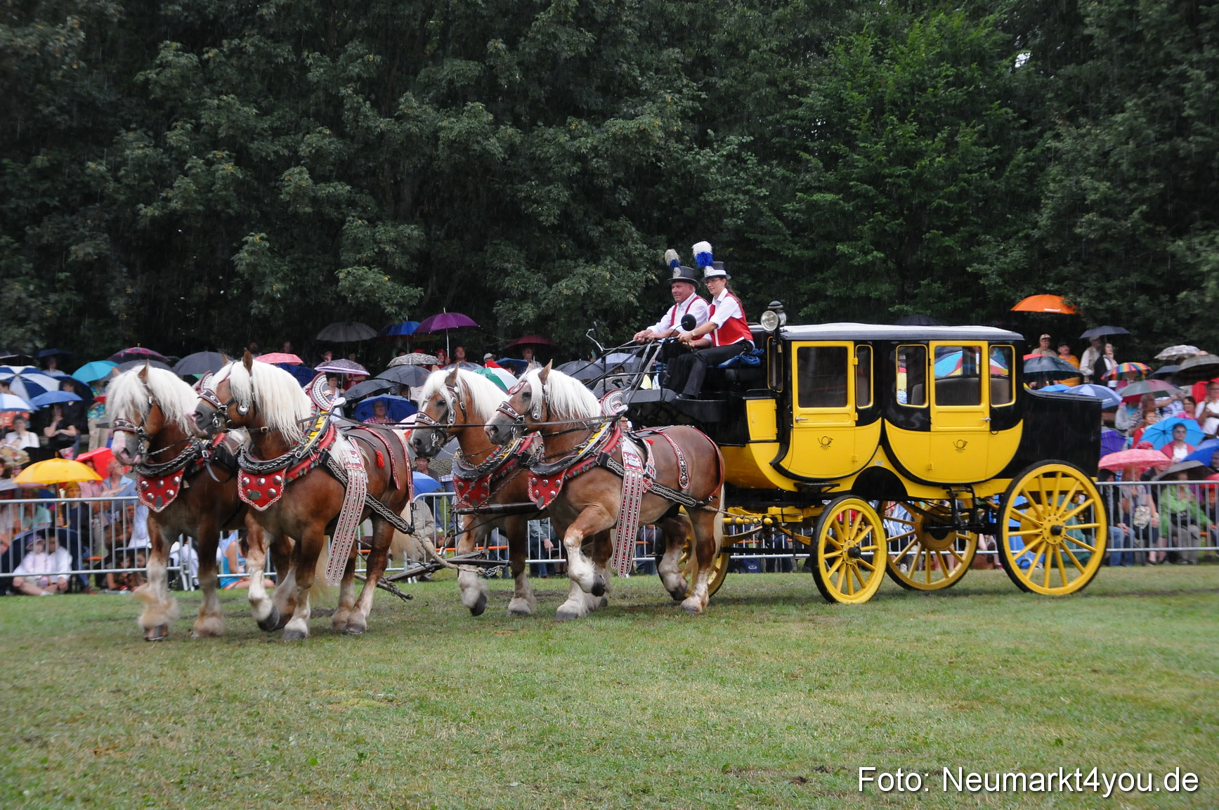 Pferde und Fohlenschau 190813 0100