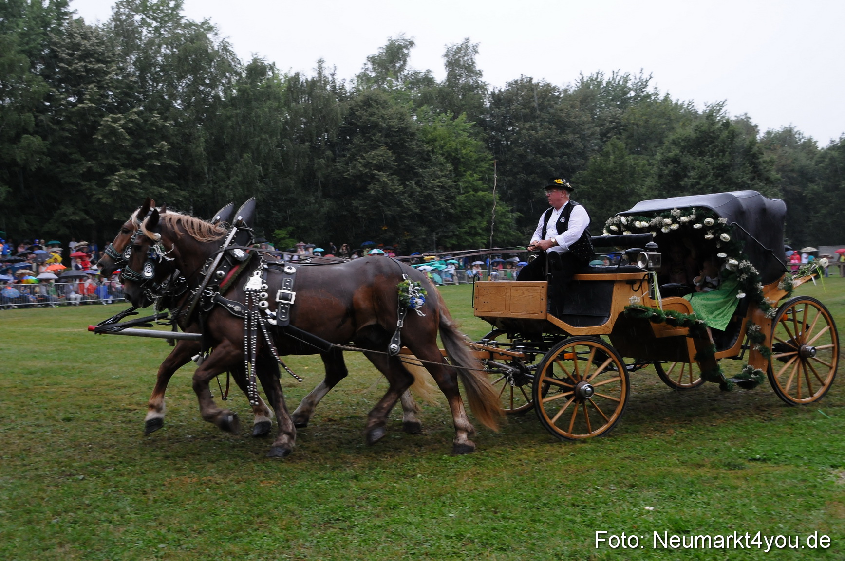Pferde und Fohlenschau 190813 0102