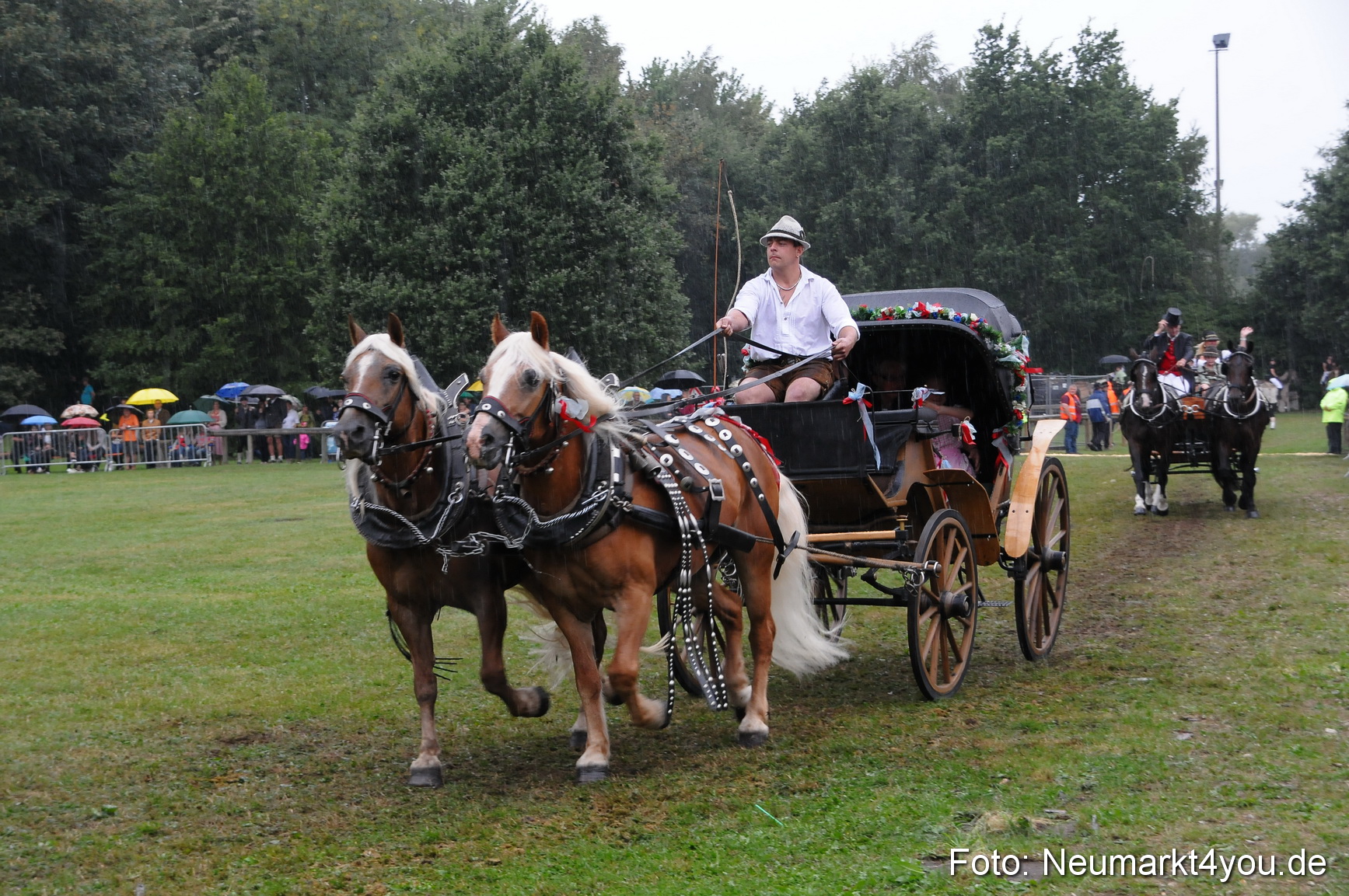 Pferde und Fohlenschau 190813 0103