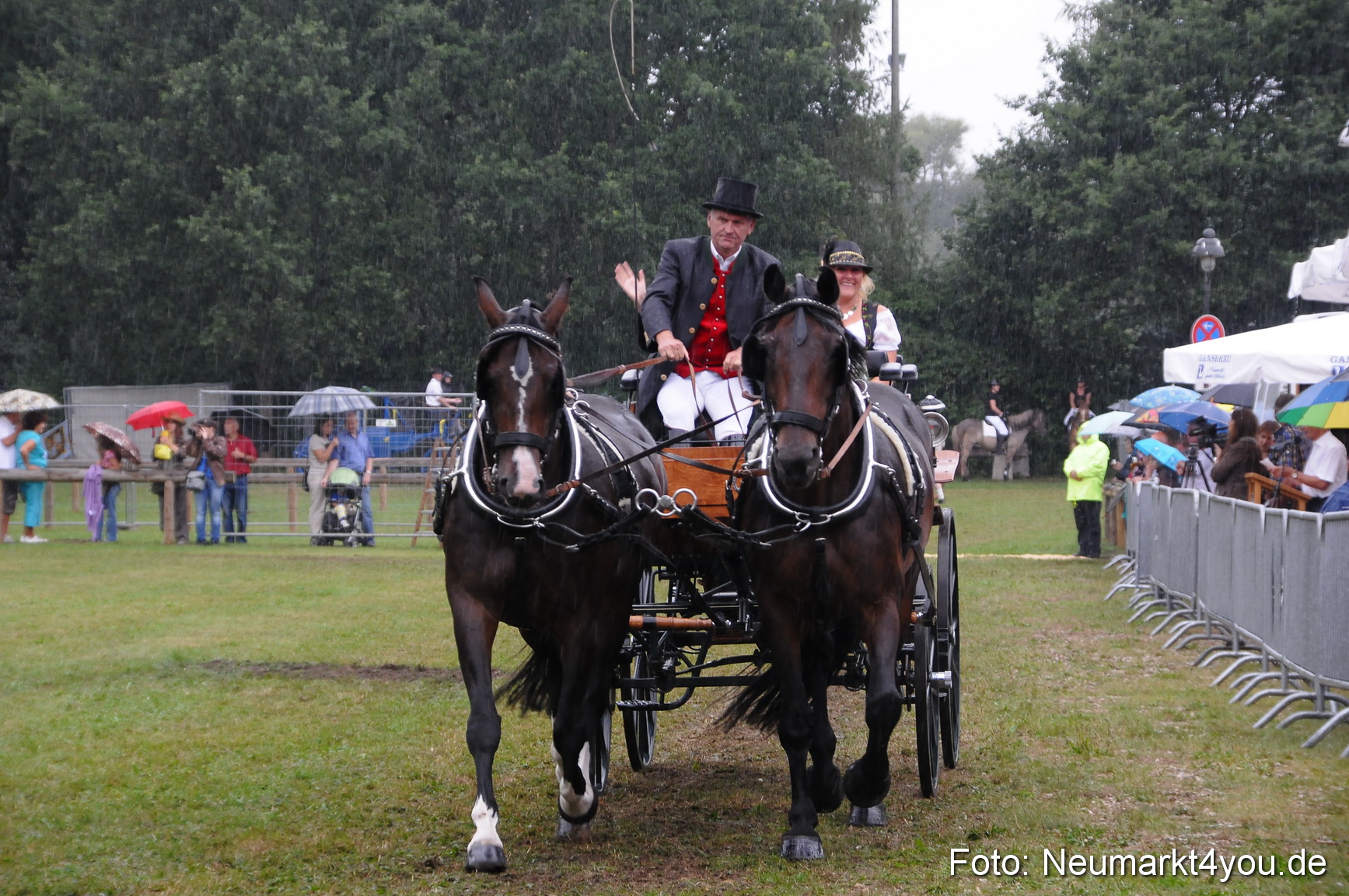 Pferde und Fohlenschau 190813 0104