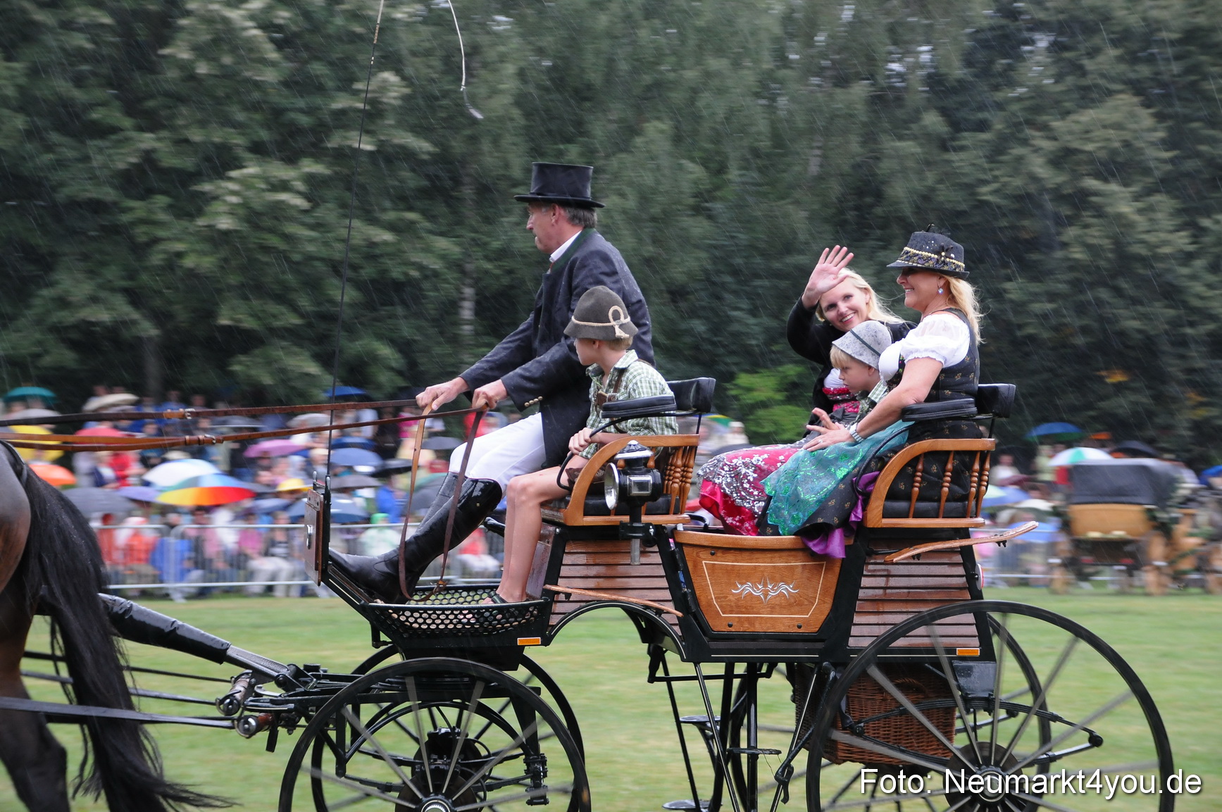 Pferde und Fohlenschau 190813 0106