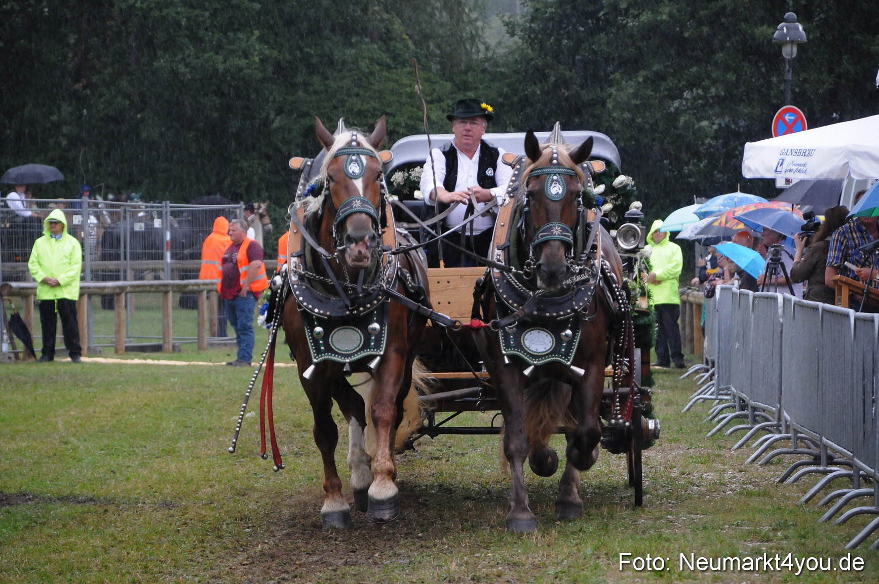 Pferde und Fohlenschau 190813 0107