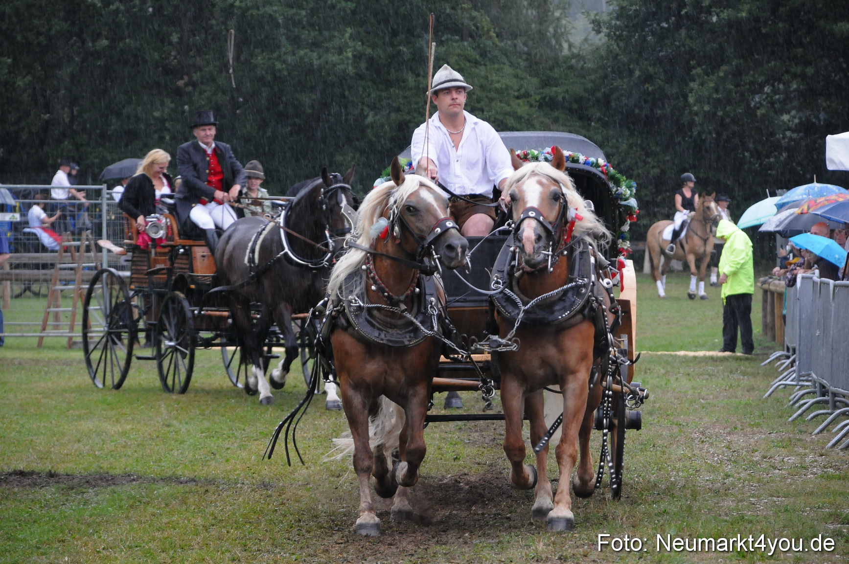 Pferde und Fohlenschau 190813 0108