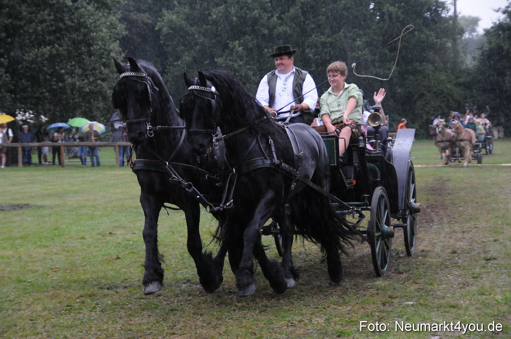 Pferde und Fohlenschau 190813 0112