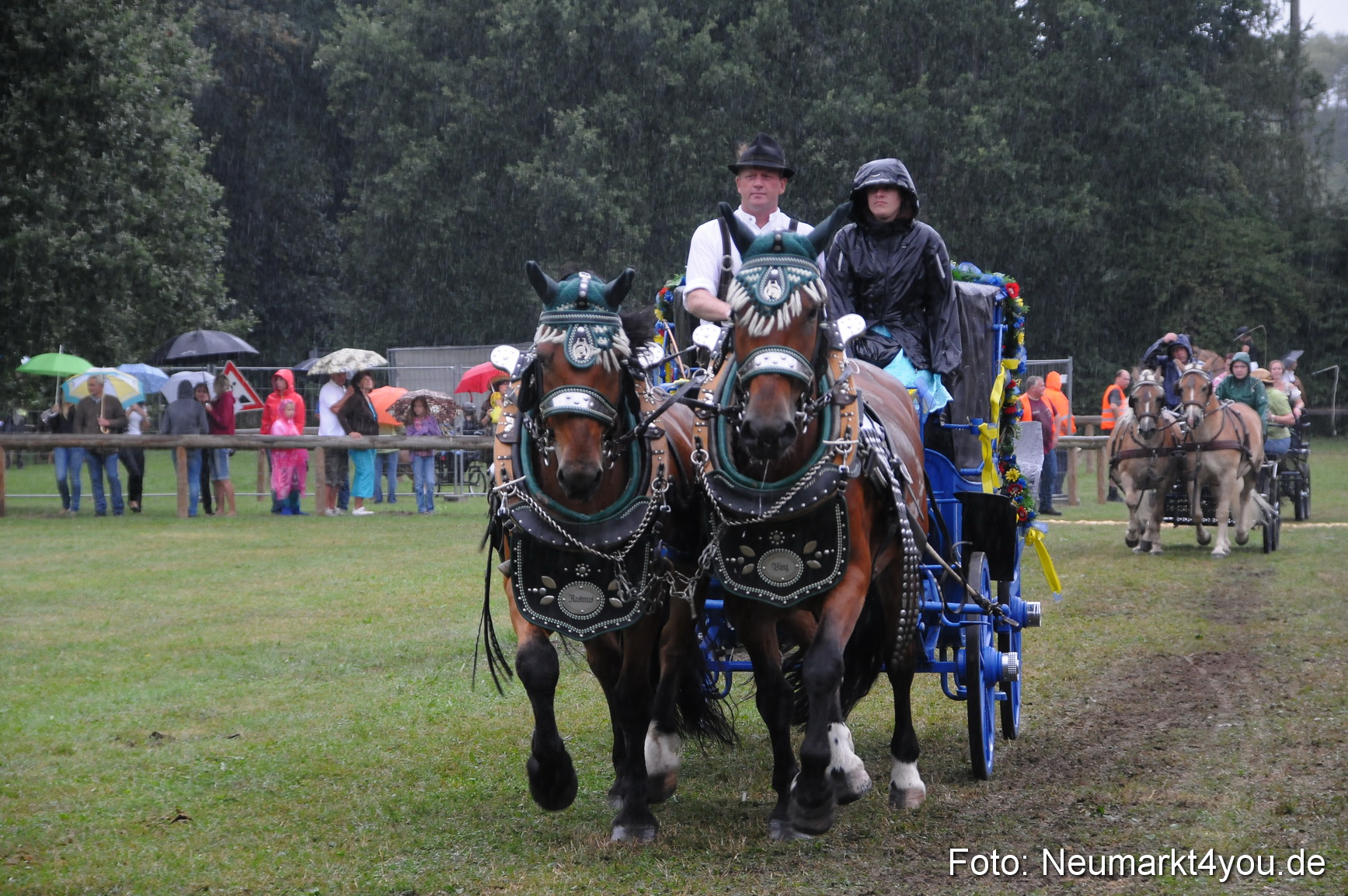Pferde und Fohlenschau 190813 0113