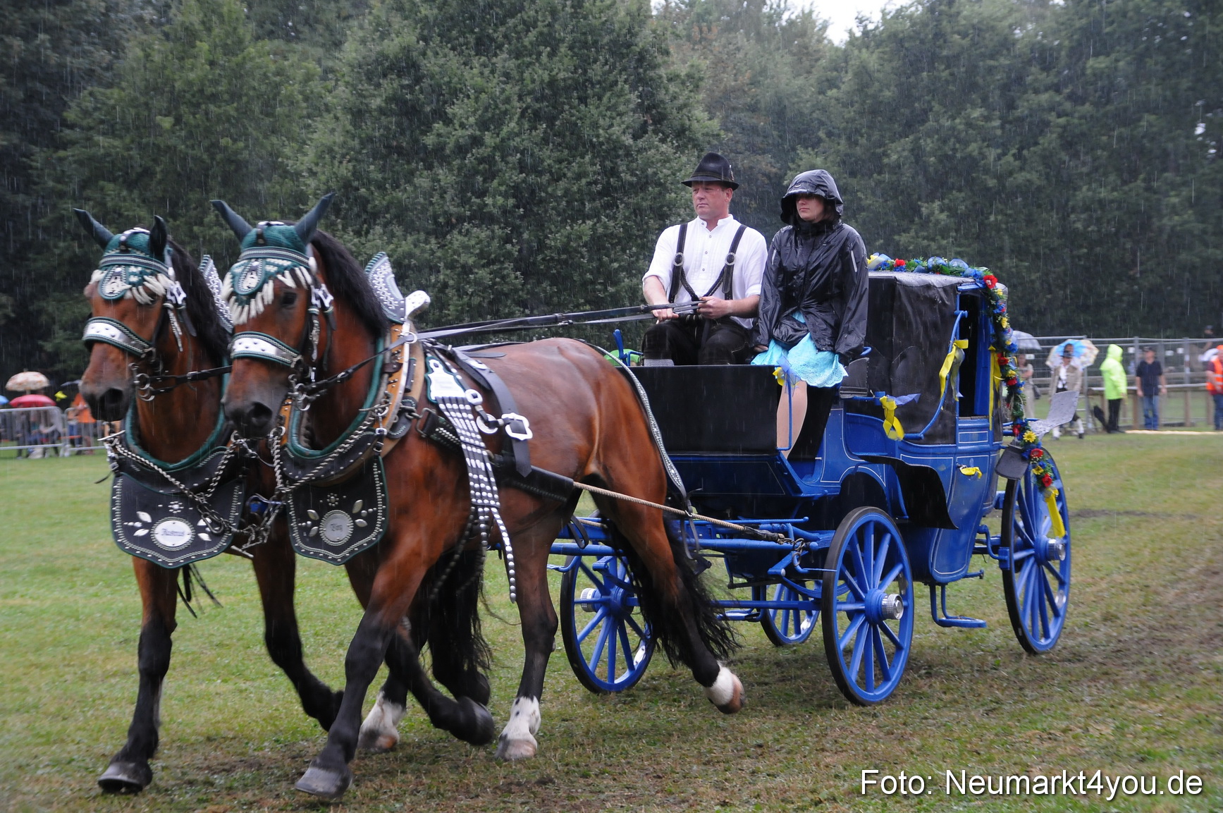 Pferde und Fohlenschau 190813 0114