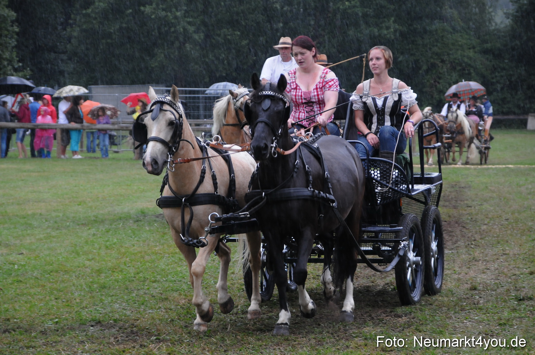 Pferde und Fohlenschau 190813 0115