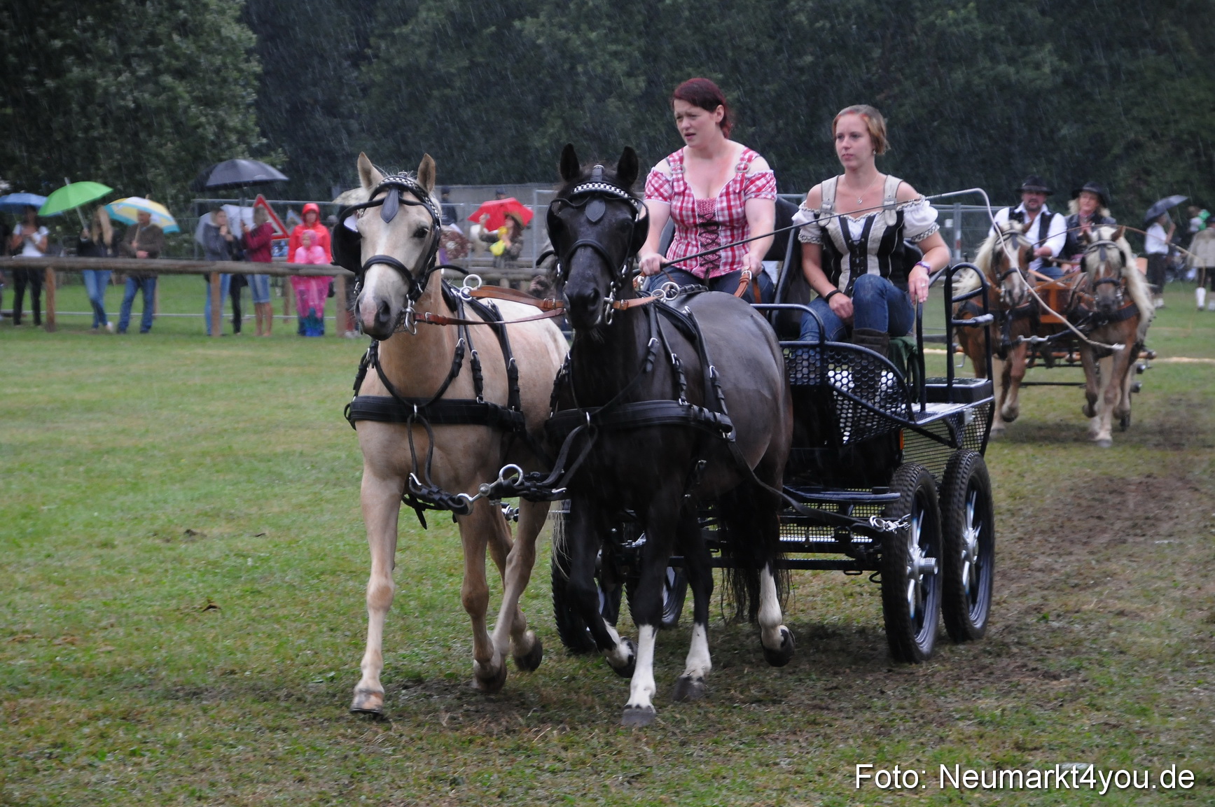 Pferde und Fohlenschau 190813 0119