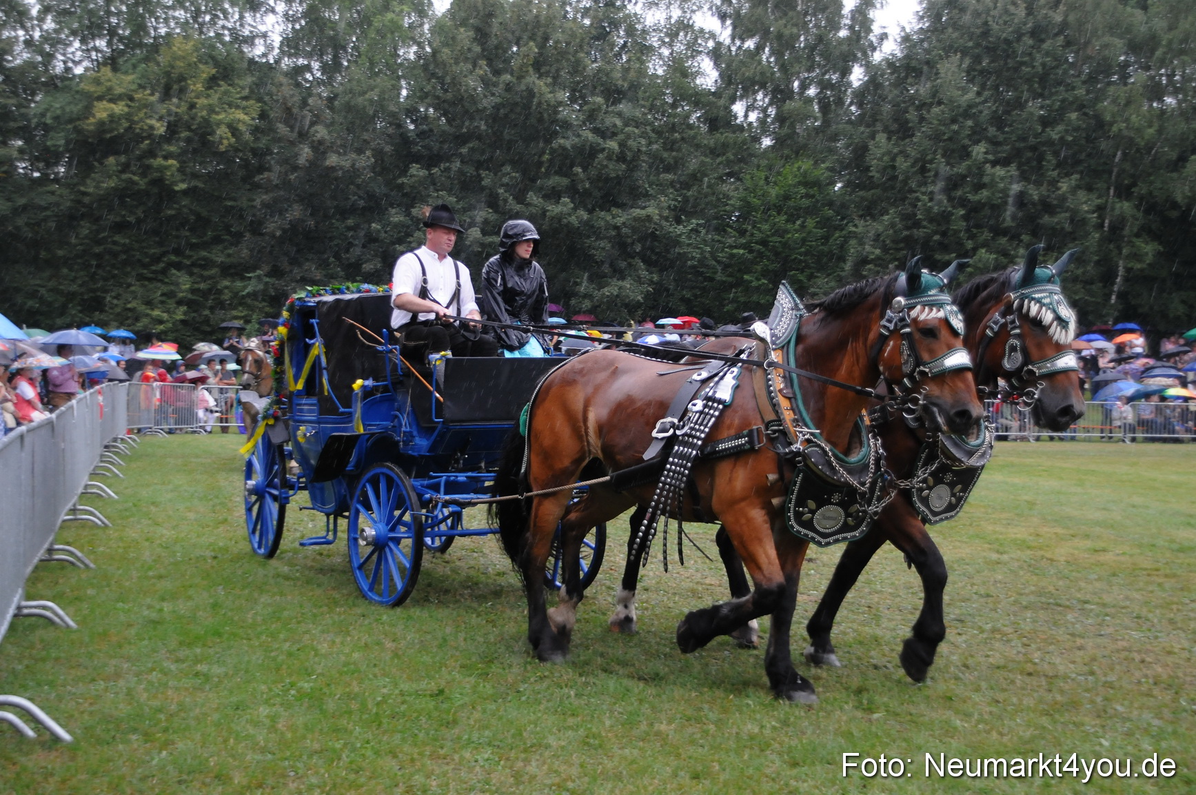 Pferde und Fohlenschau 190813 0120