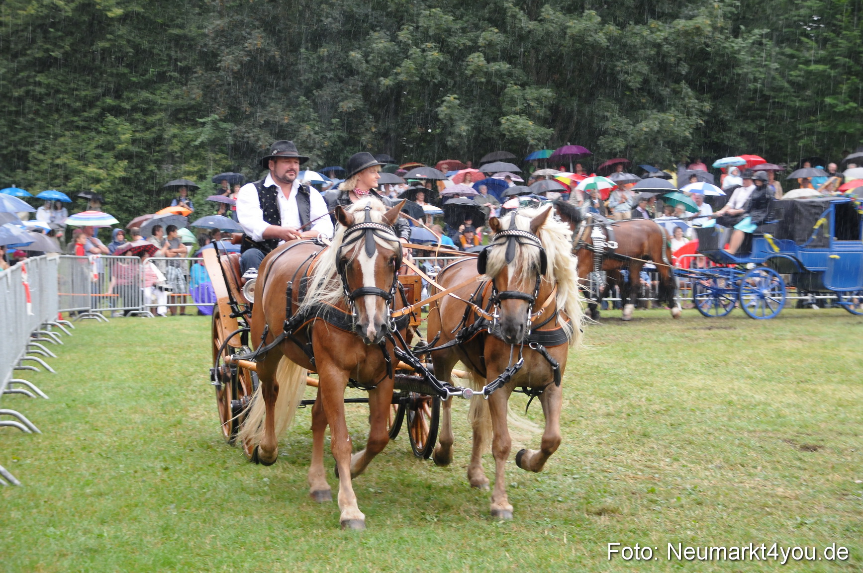 Pferde und Fohlenschau 190813 0123